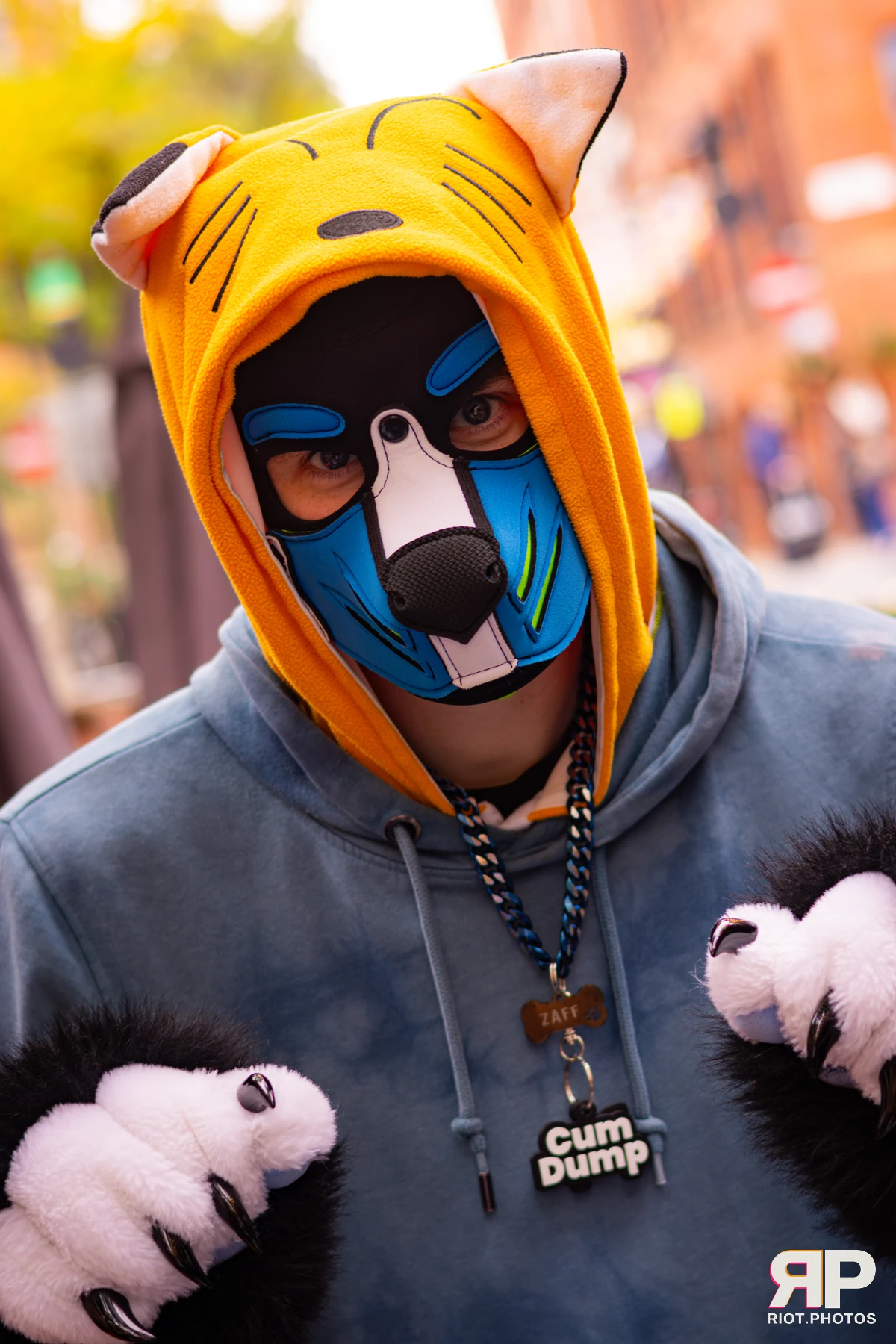Zaff — furry & pup photography by Fluffy Riot — photo 66