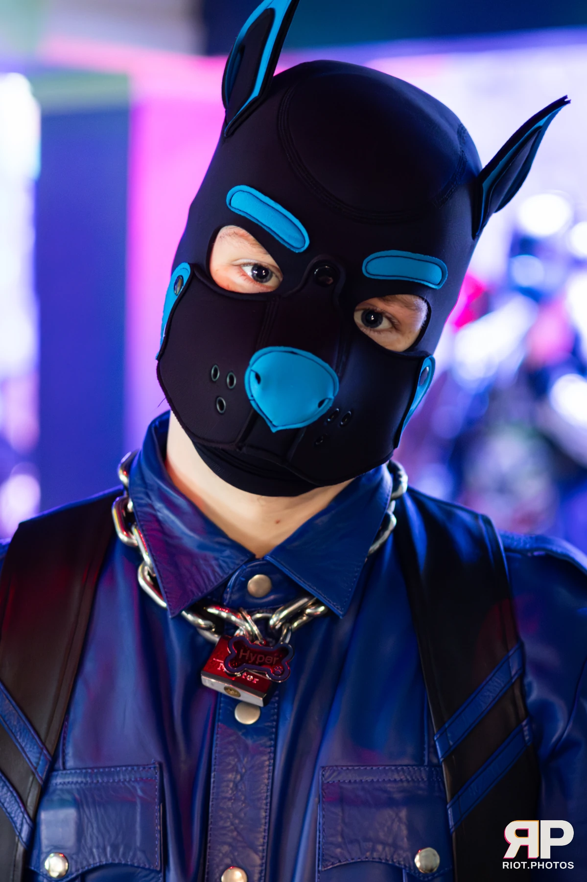 Hyper — furry & pup photography by Fluffy Riot — photo 37