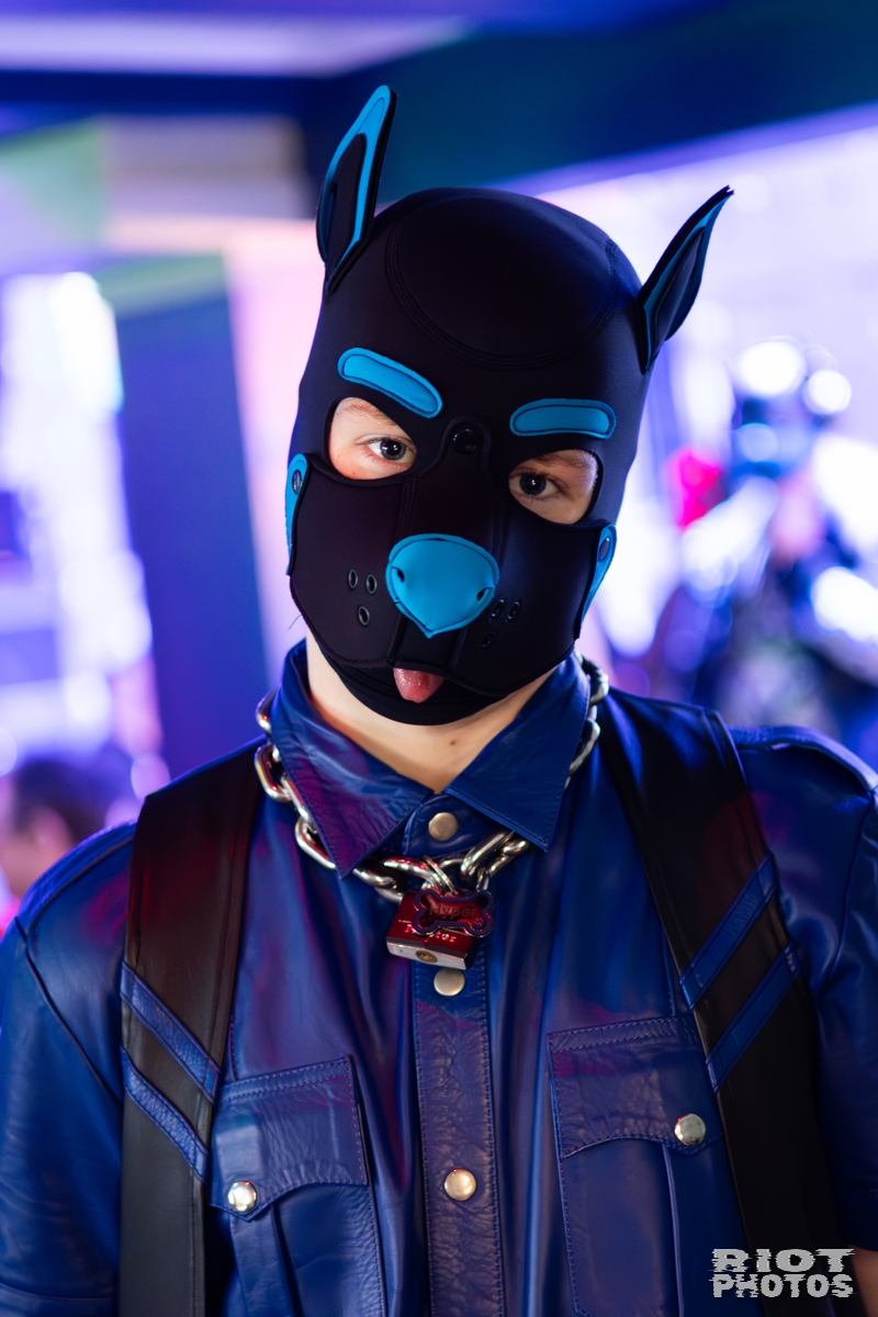 2025-10-18 DoggyWeekend-202510-083.jpg