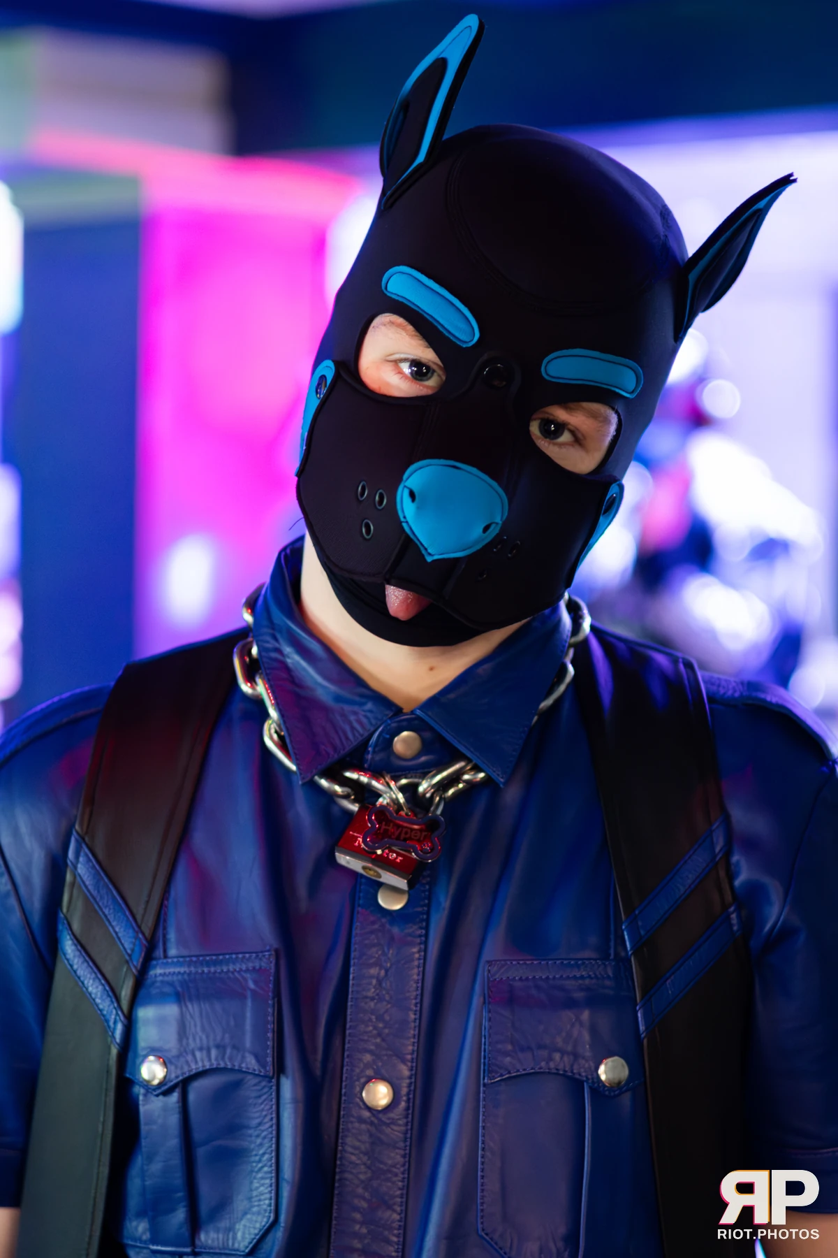 Hyper — furry & pup photography by Fluffy Riot — photo 39