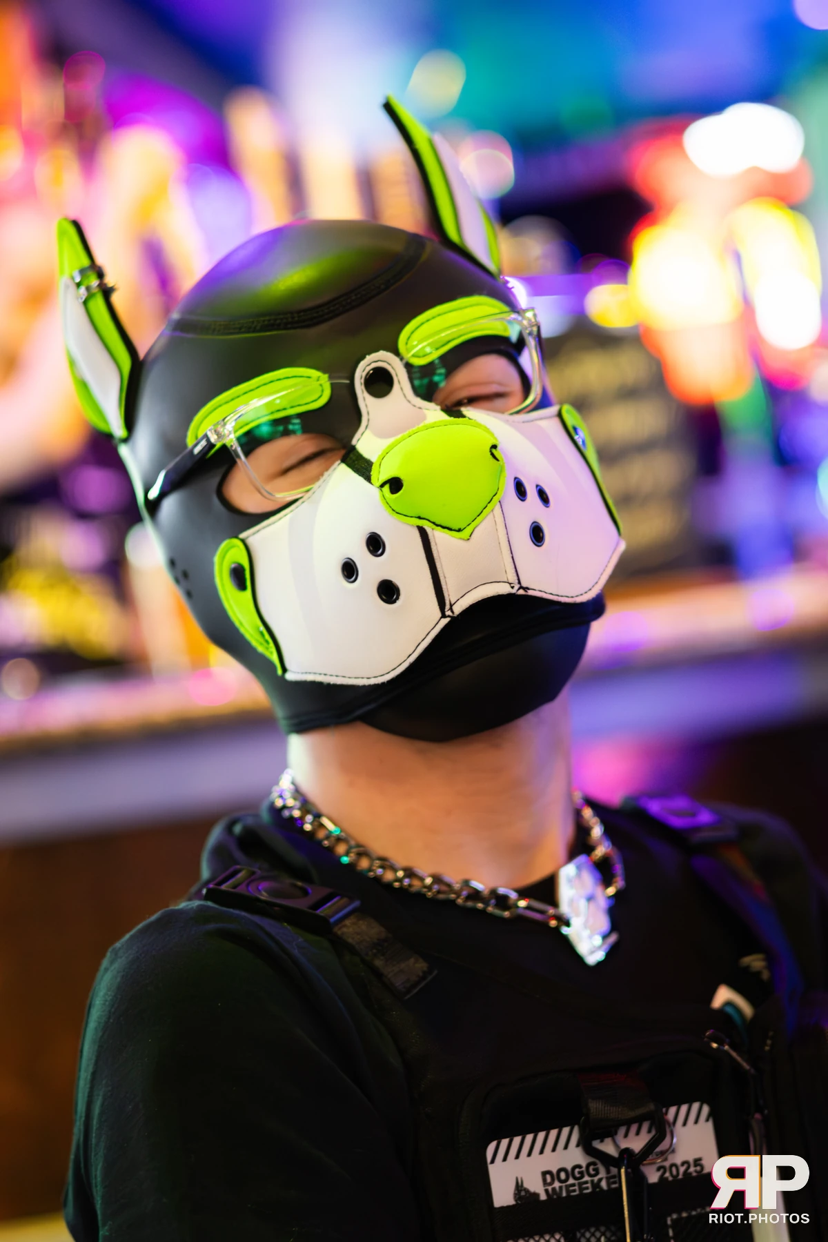 Doggy Weekend 2025 — 15 Oct 2025, Fluffy Riot photography — photo 85