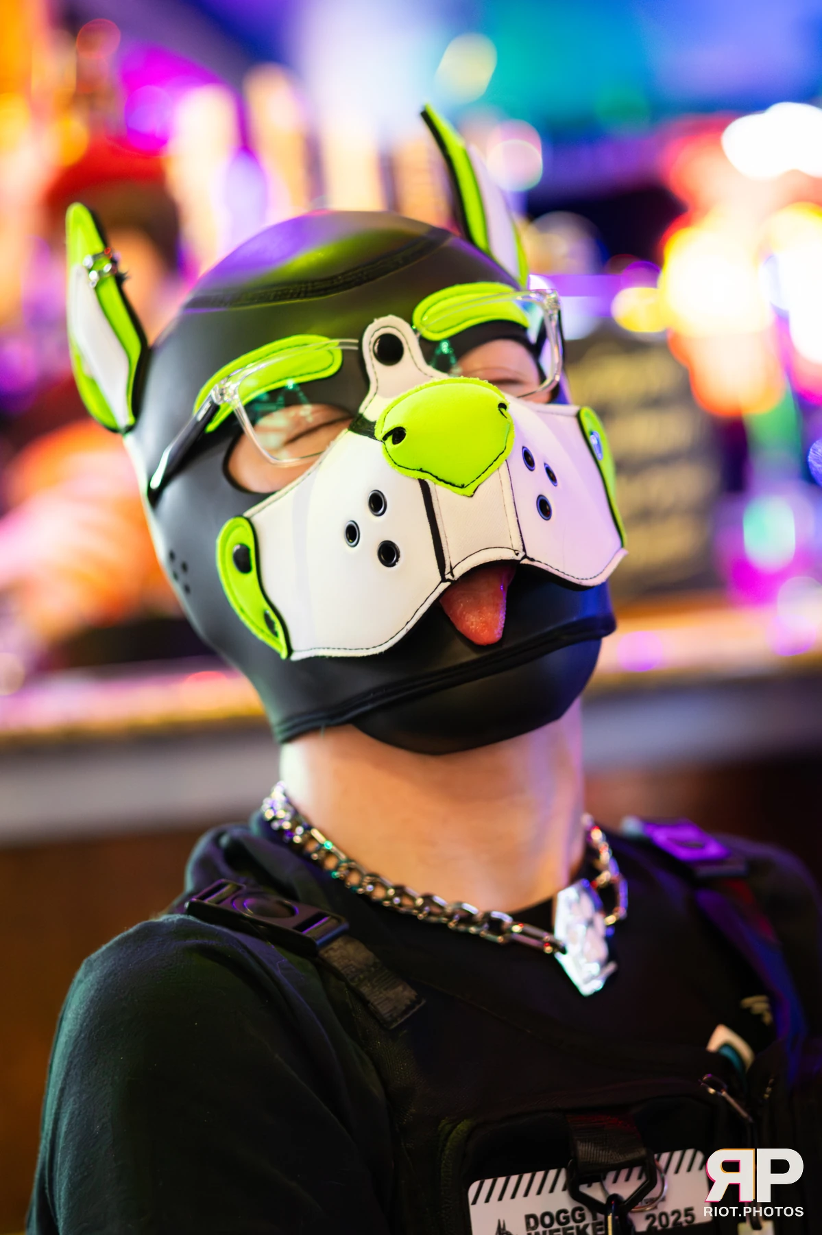 Doggy Weekend 2025 — 15 Oct 2025, Fluffy Riot photography — photo 86
