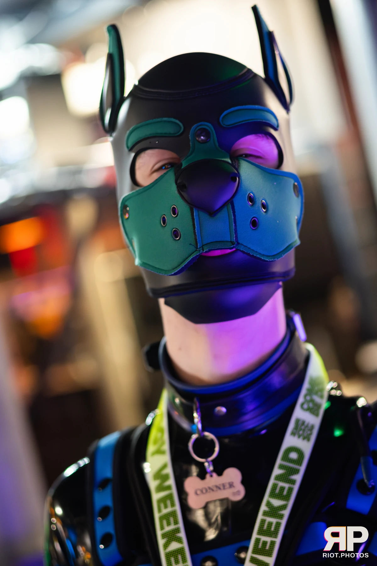 Doggy Weekend 2025 — 15 Oct 2025, Fluffy Riot photography — photo 93