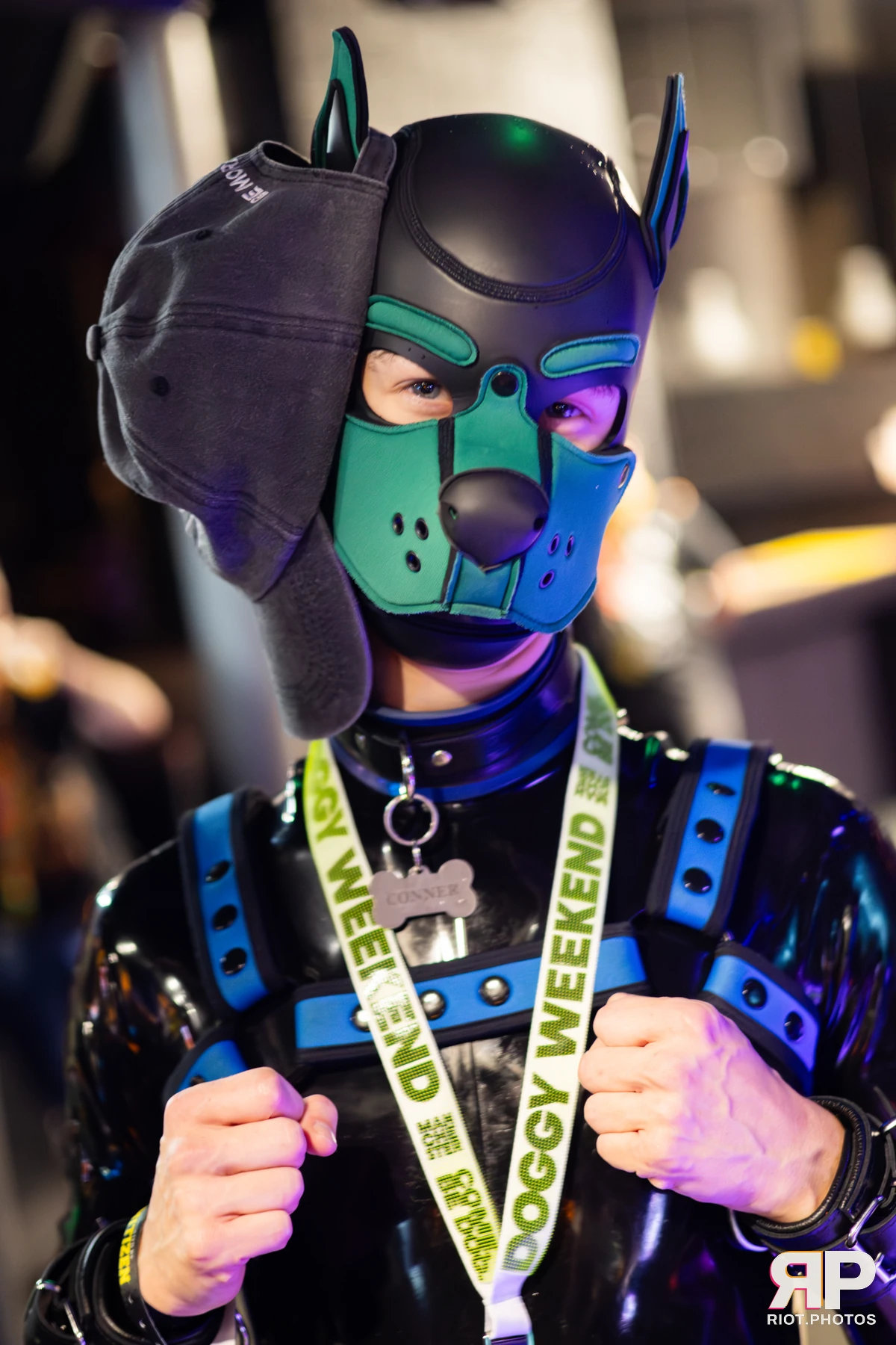 Doggy Weekend 2025 — 15 Oct 2025, Fluffy Riot photography — photo 94