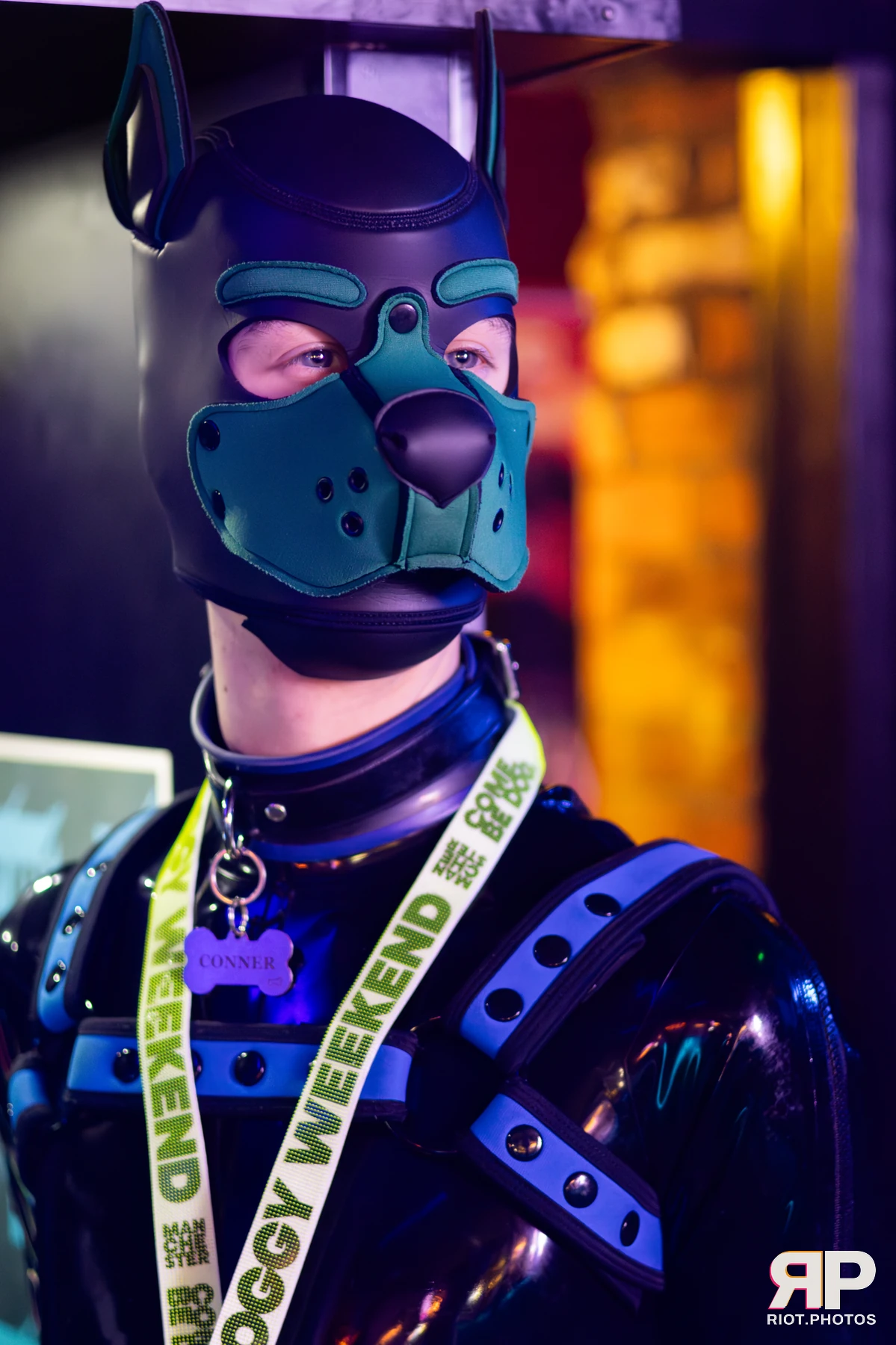 Doggy Weekend 2025 — 15 Oct 2025, Fluffy Riot photography — photo 98