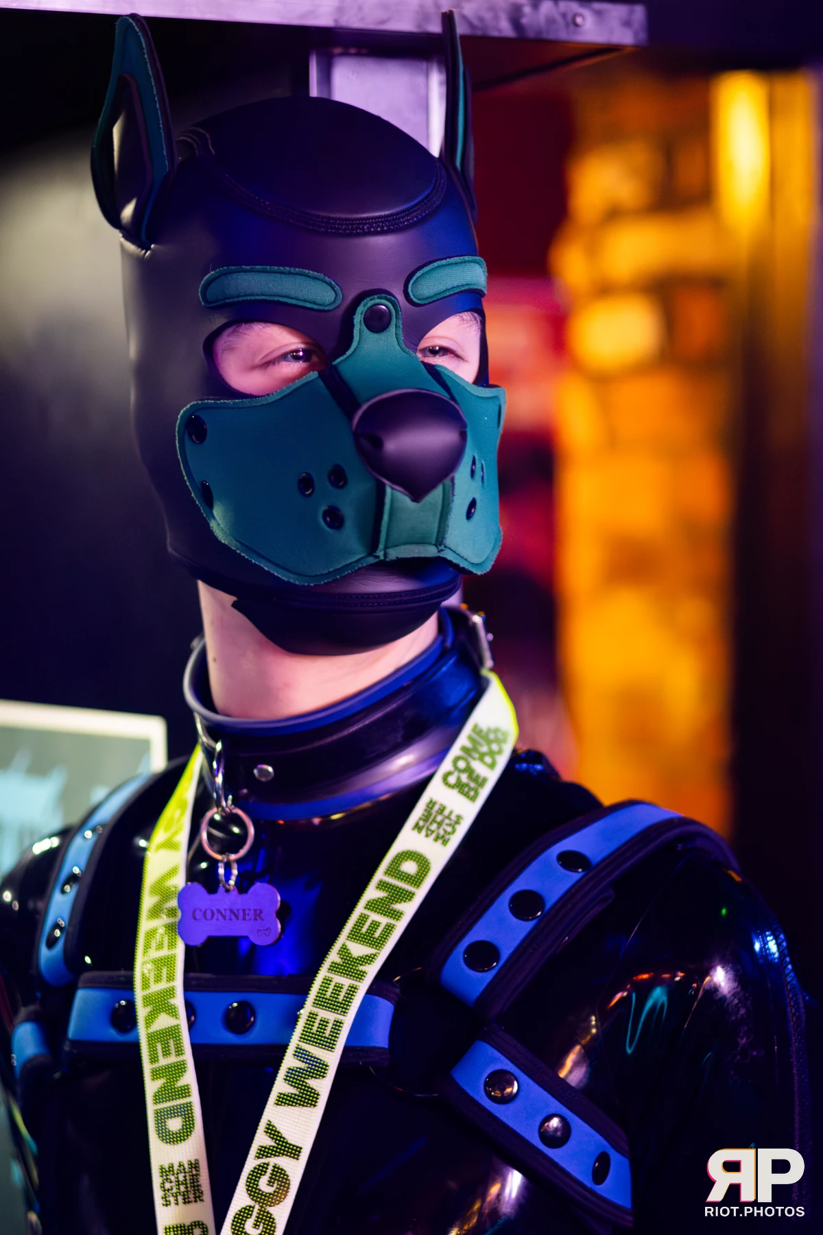 Doggy Weekend 2025 — 15 Oct 2025, Fluffy Riot photography — photo 99