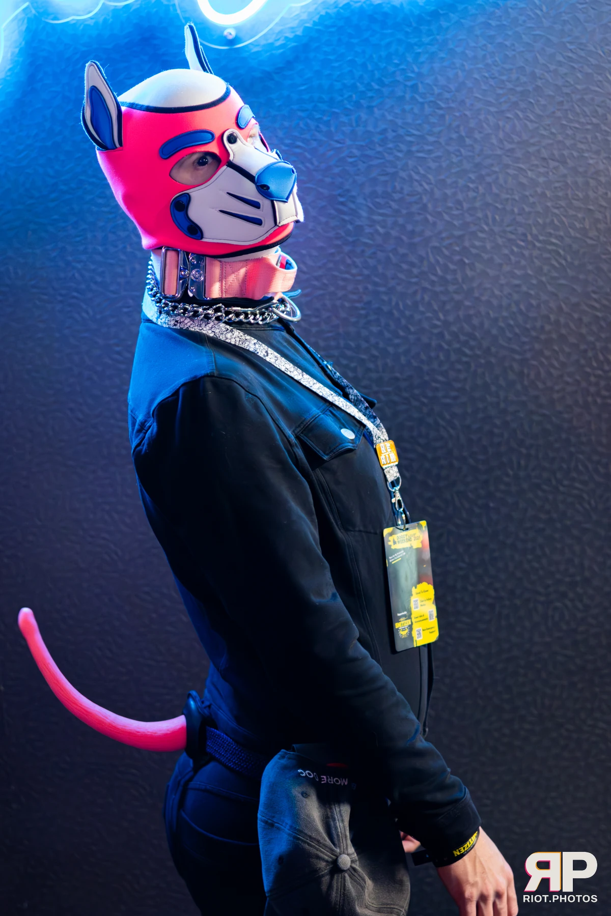 Pup Kaz — furry & pup photography by Fluffy Riot — photo 270