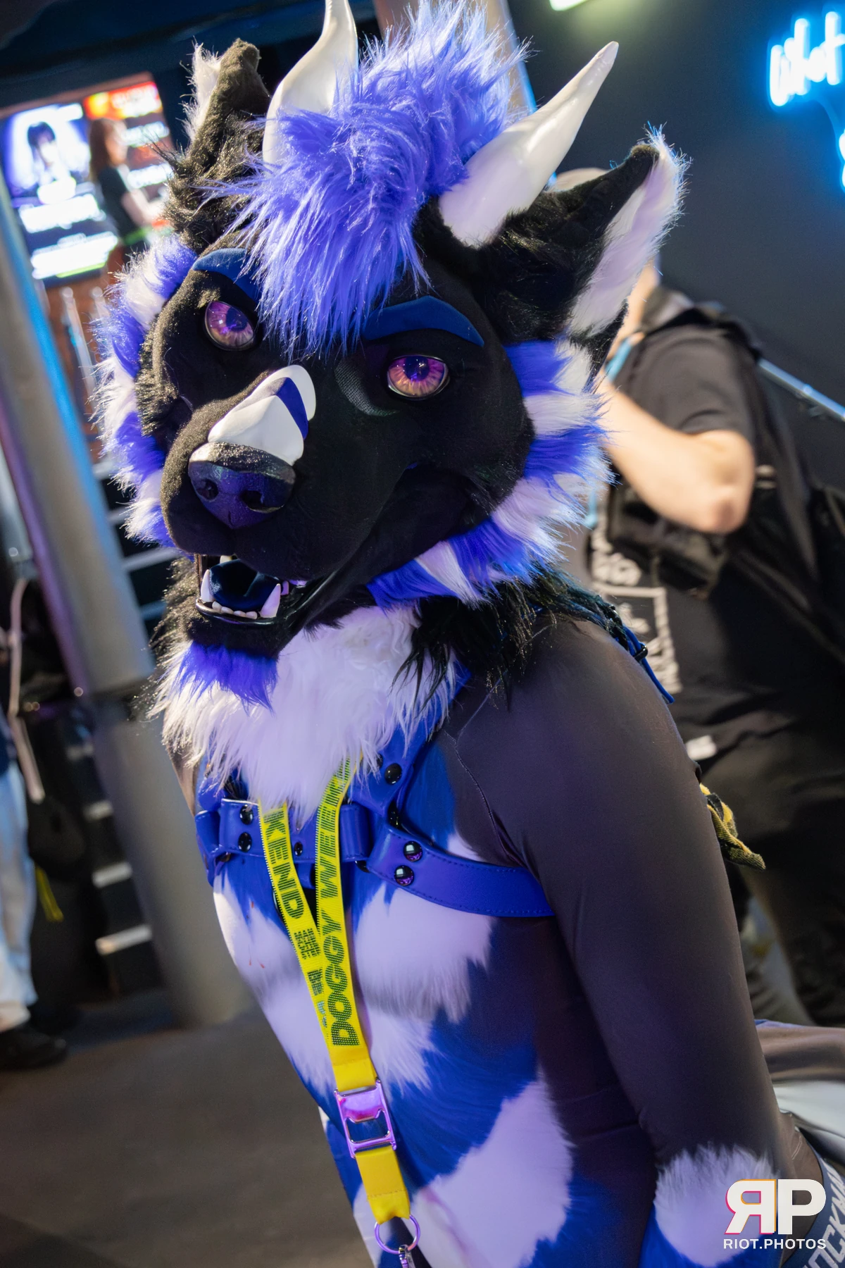 Doggy Weekend 2025 — 15 Oct 2025, Fluffy Riot photography — photo 104