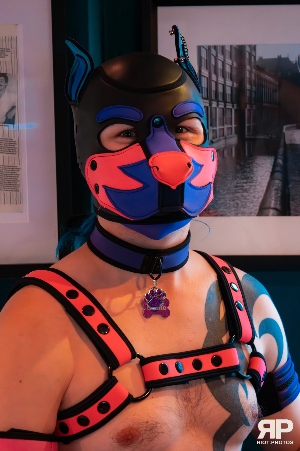 Pup Gizmo — furry & pup photography by Fluffy Riot — photo 48