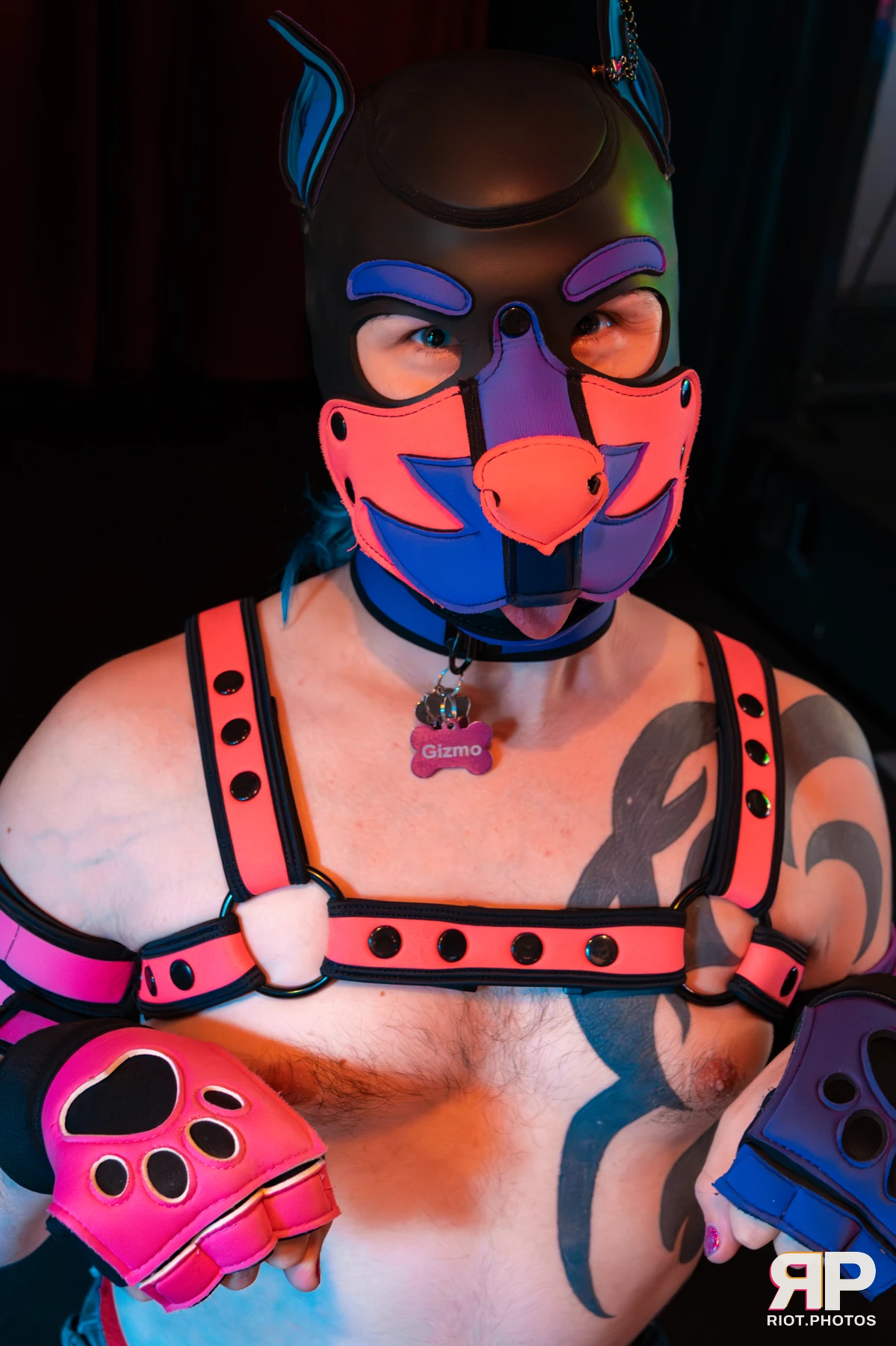 Pup Gizmo — furry & pup photography by Fluffy Riot — photo 53