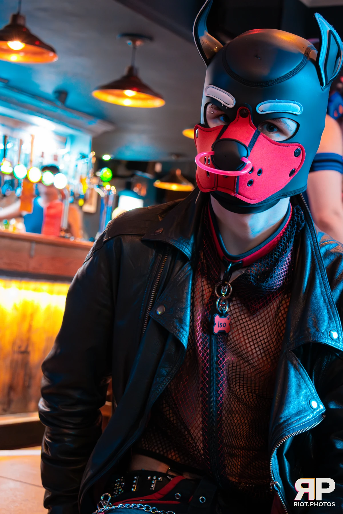 Doggy Weekend 2025 — 15 Oct 2025, Fluffy Riot photography — photo 124
