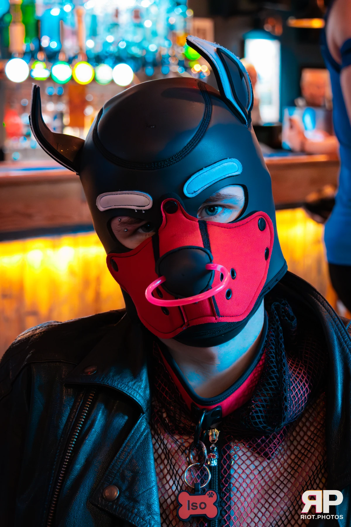 Doggy Weekend 2025 — 15 Oct 2025, Fluffy Riot photography — photo 128