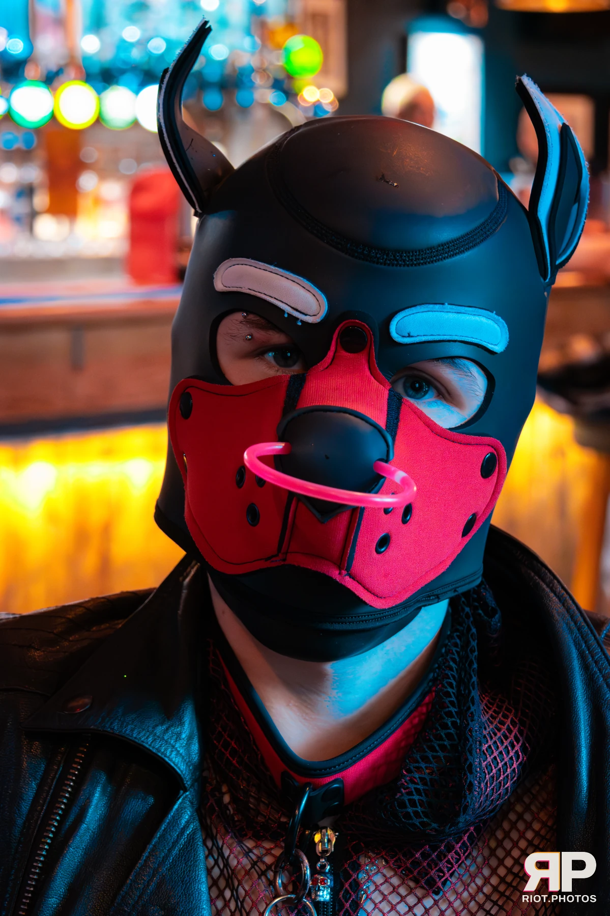 Doggy Weekend 2025 — 15 Oct 2025, Fluffy Riot photography — photo 129