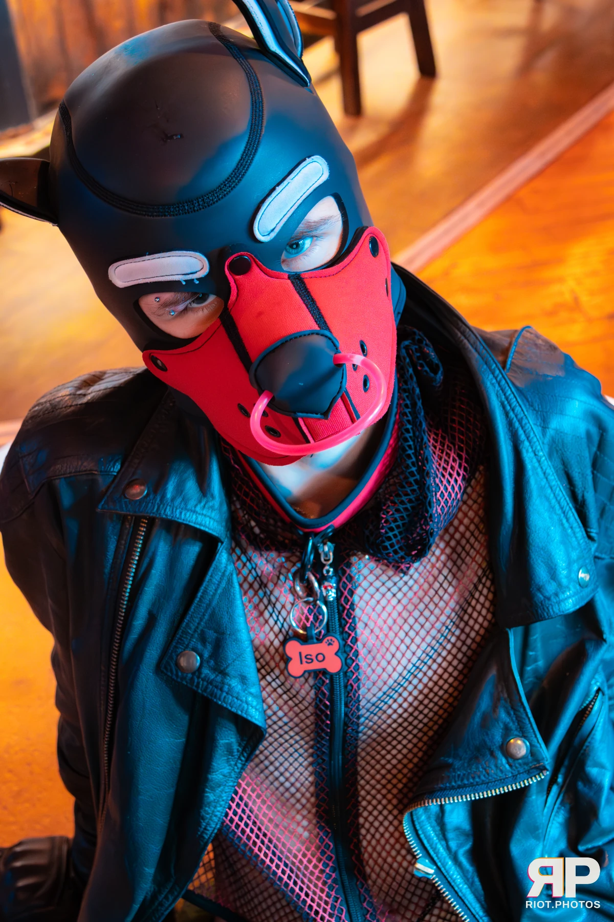 Doggy Weekend 2025 — 15 Oct 2025, Fluffy Riot photography — photo 130