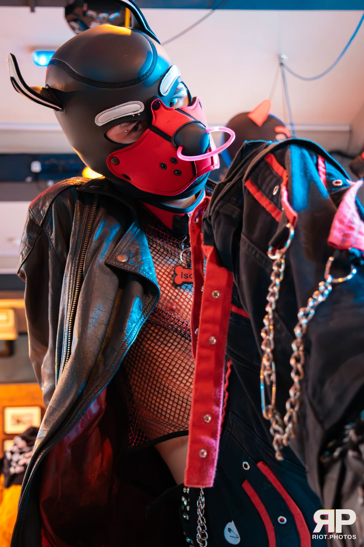 Doggy Weekend 2025 — 15 Oct 2025, Fluffy Riot photography — photo 133