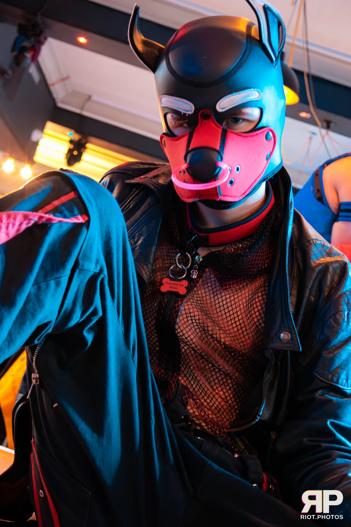 Doggy Weekend 2025 — 15 Oct 2025, Fluffy Riot photography — photo 134