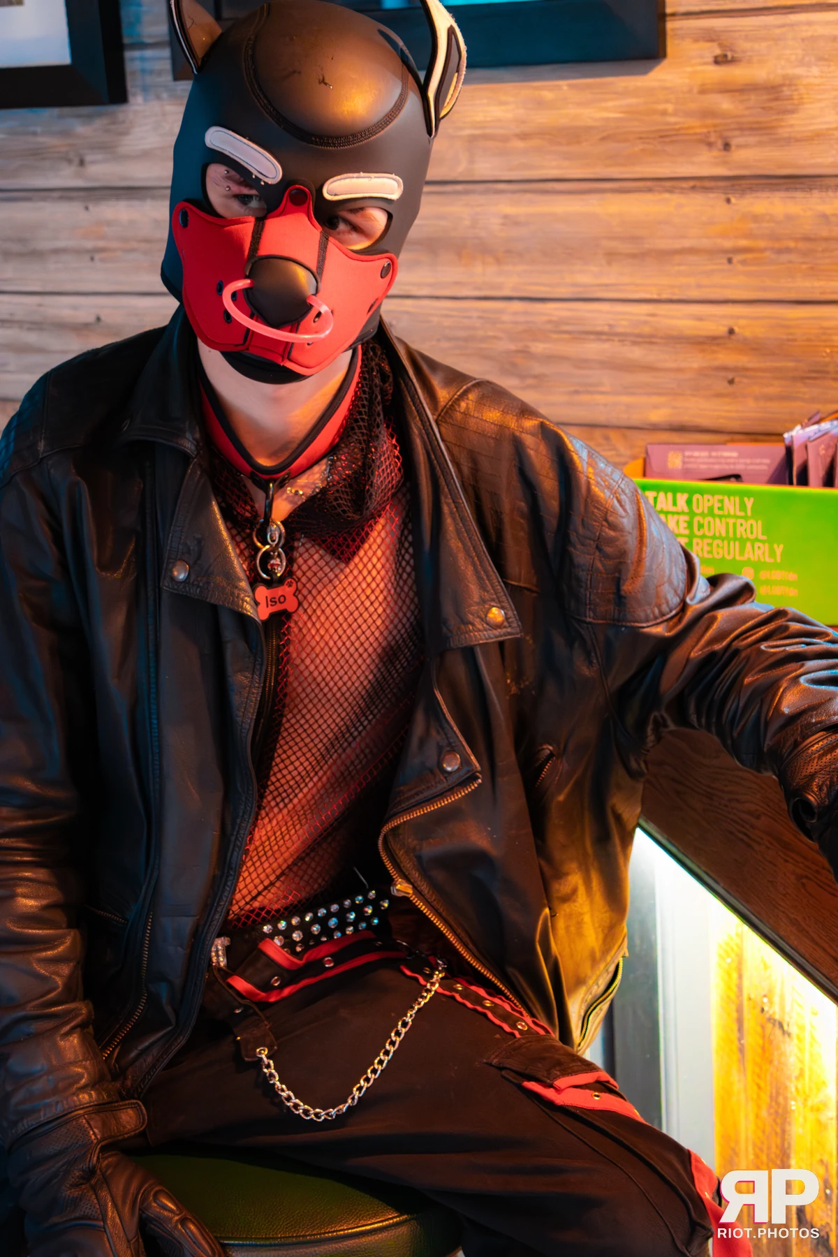 Doggy Weekend 2025 — 15 Oct 2025, Fluffy Riot photography — photo 136