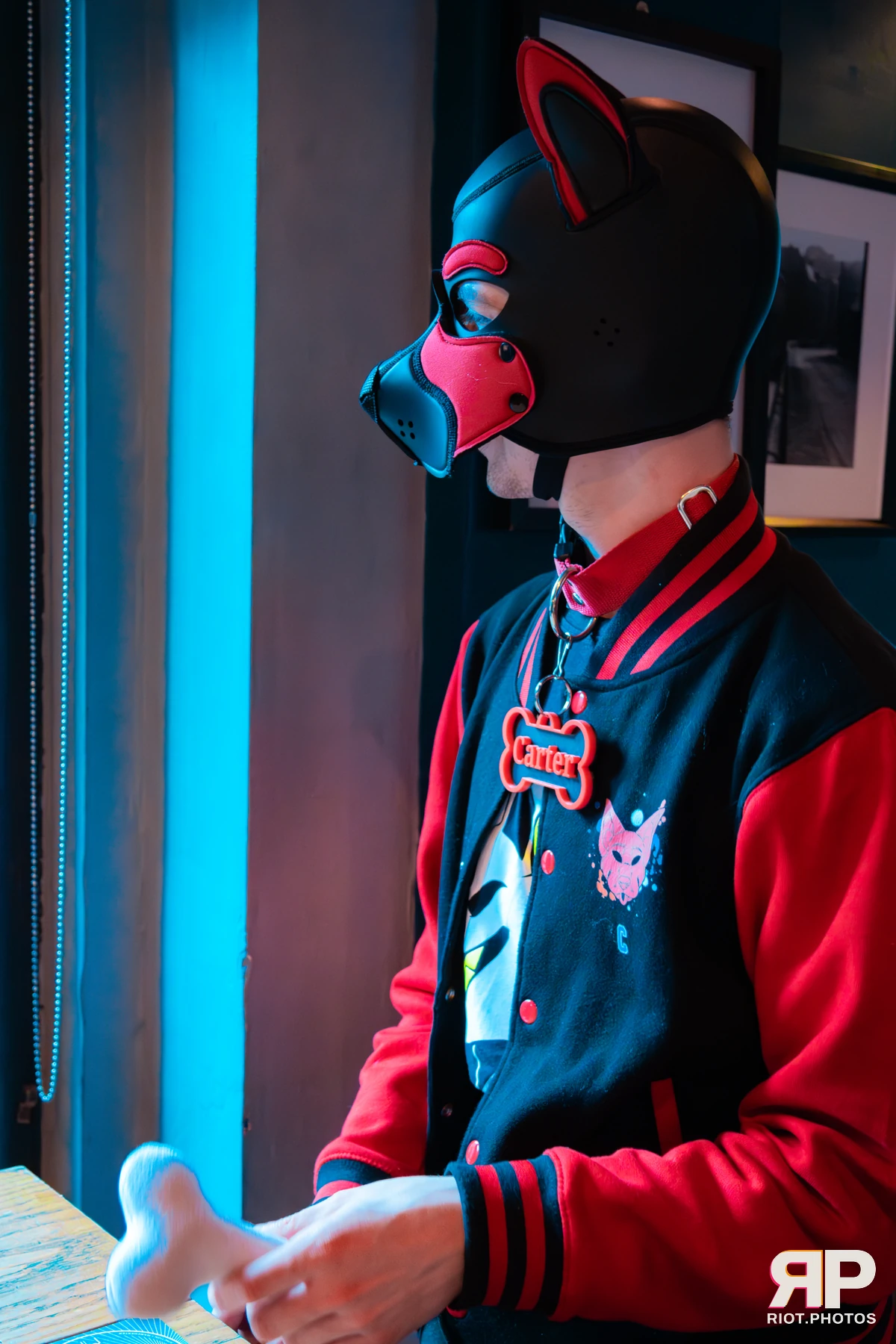 Doggy Weekend 2025 — 15 Oct 2025, Fluffy Riot photography — photo 143