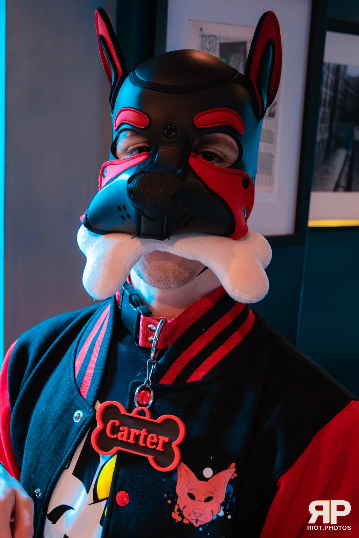 Doggy Weekend 2025 — 15 Oct 2025, Fluffy Riot photography — photo 146
