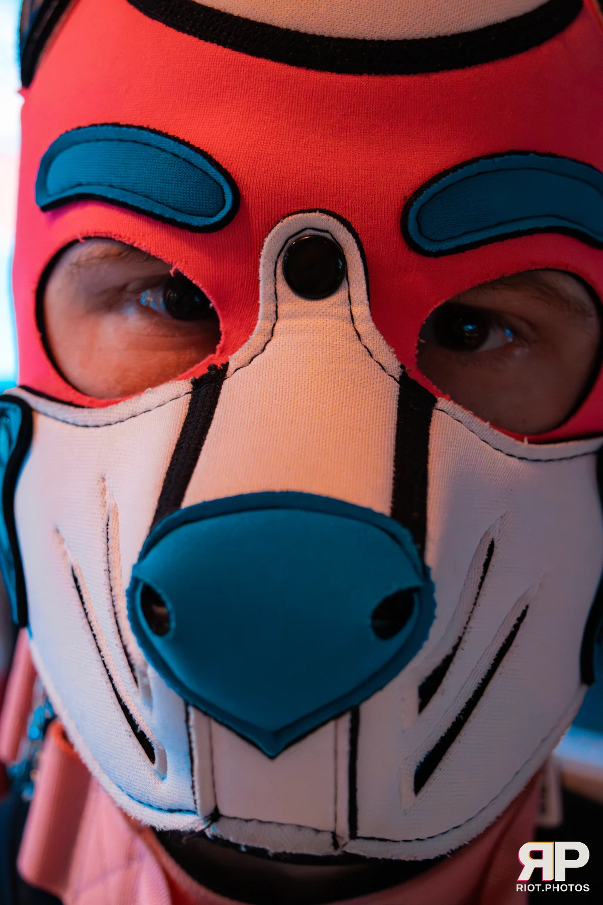 Pup Kaz — furry & pup photography by Fluffy Riot — photo 276