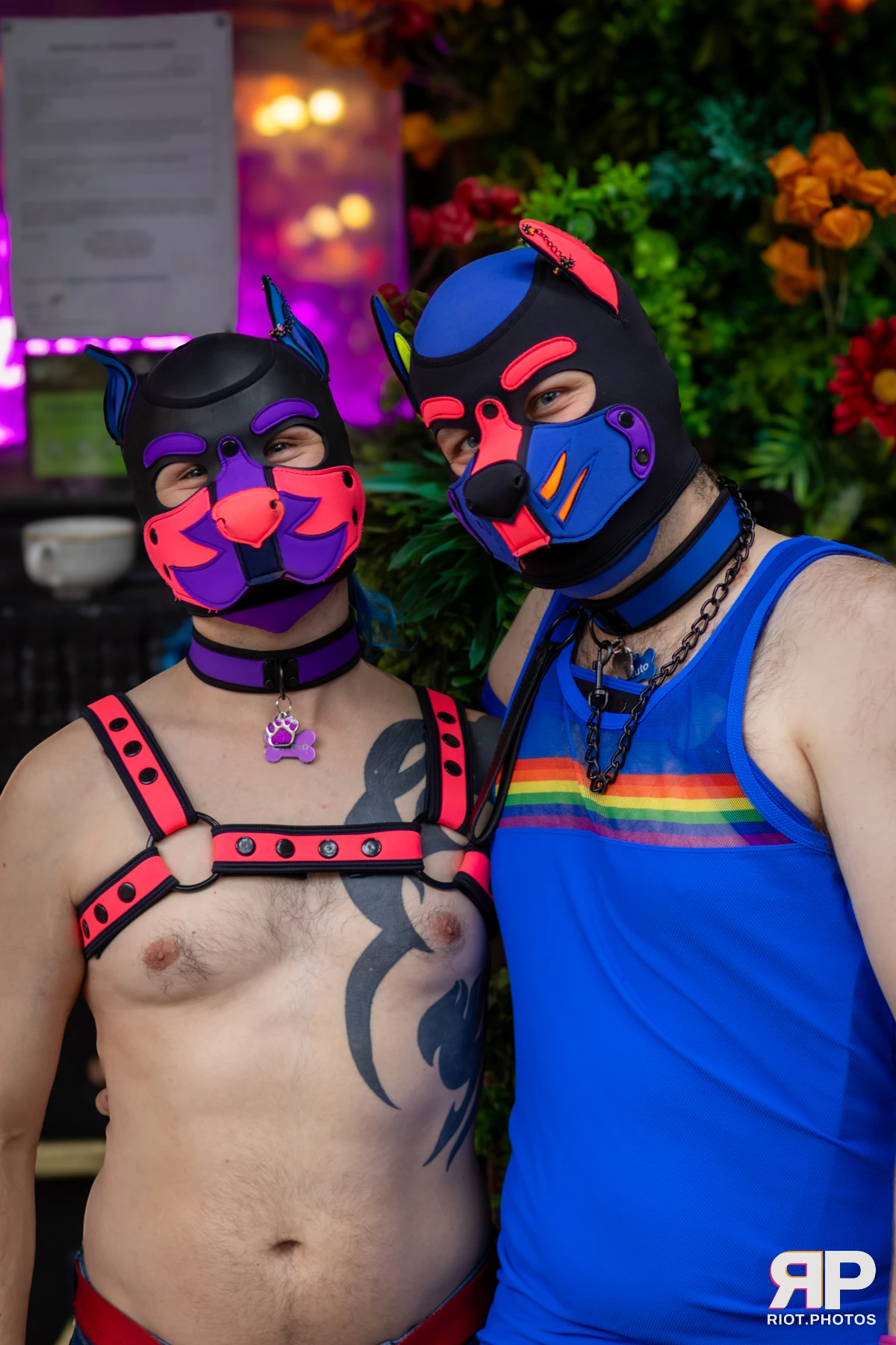 Pup Gizmo — furry & pup photography by Fluffy Riot — photo 60