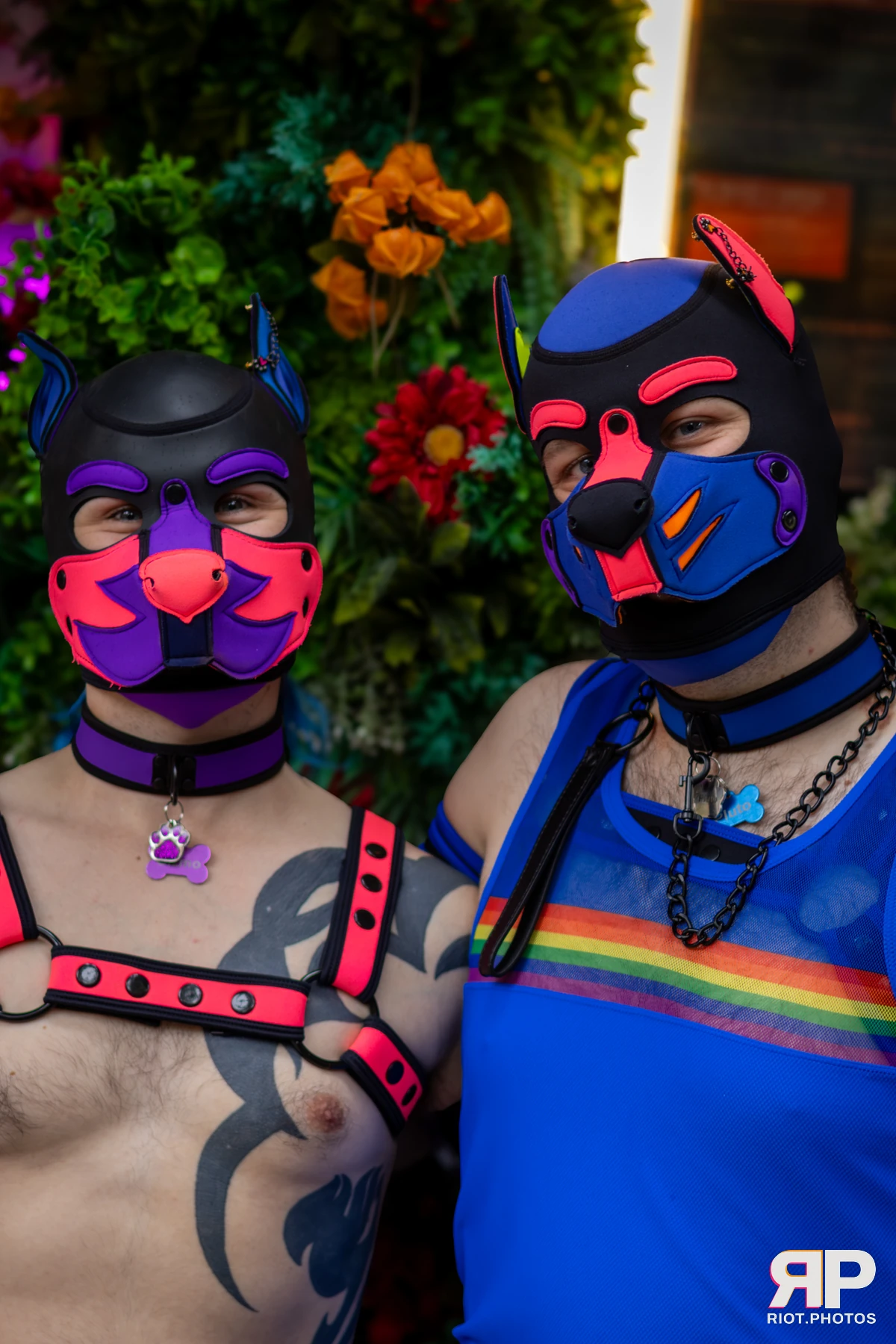 Pup Gizmo — furry & pup photography by Fluffy Riot — photo 61