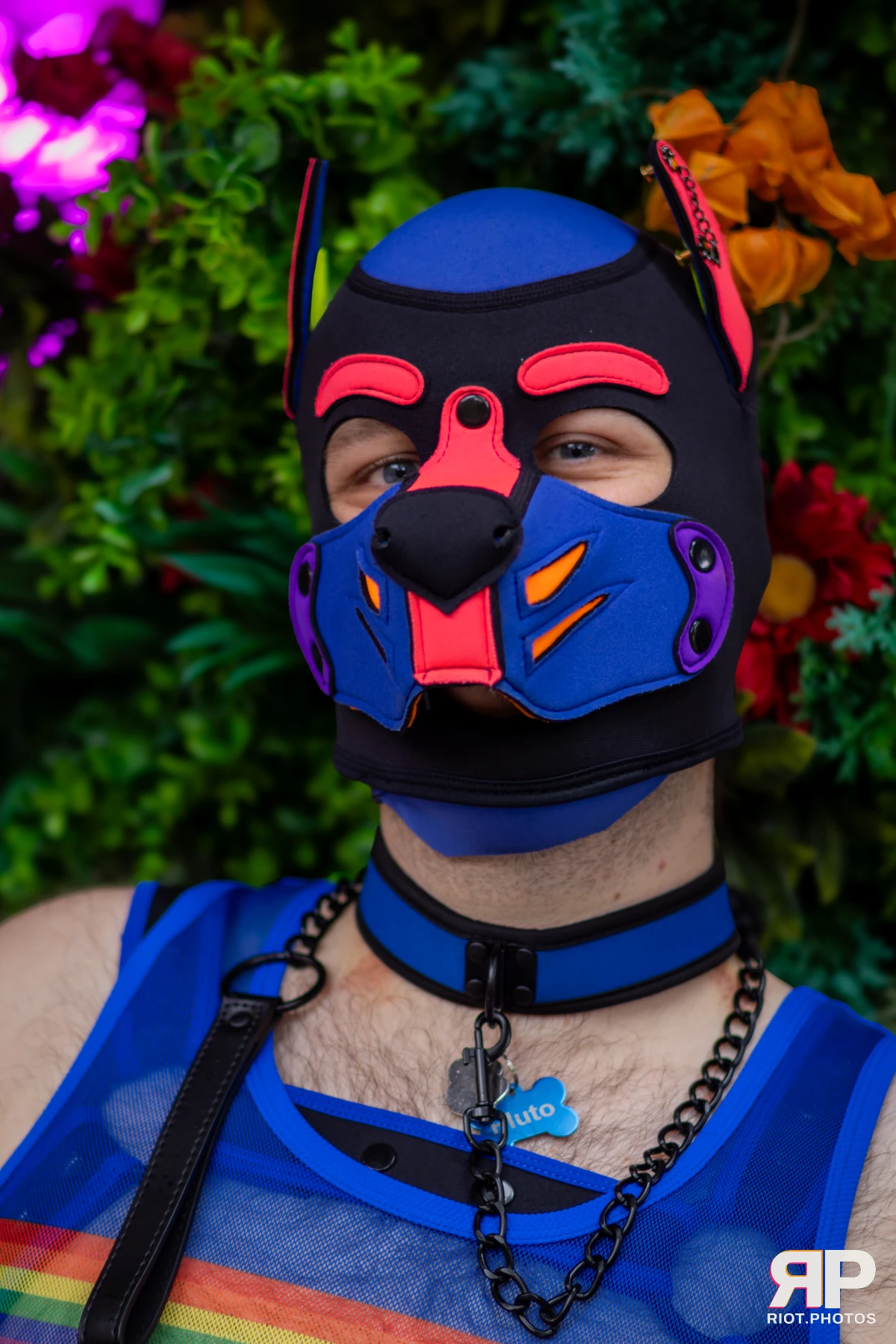 Pup Pluto — furry & pup photography by Fluffy Riot — photo 57