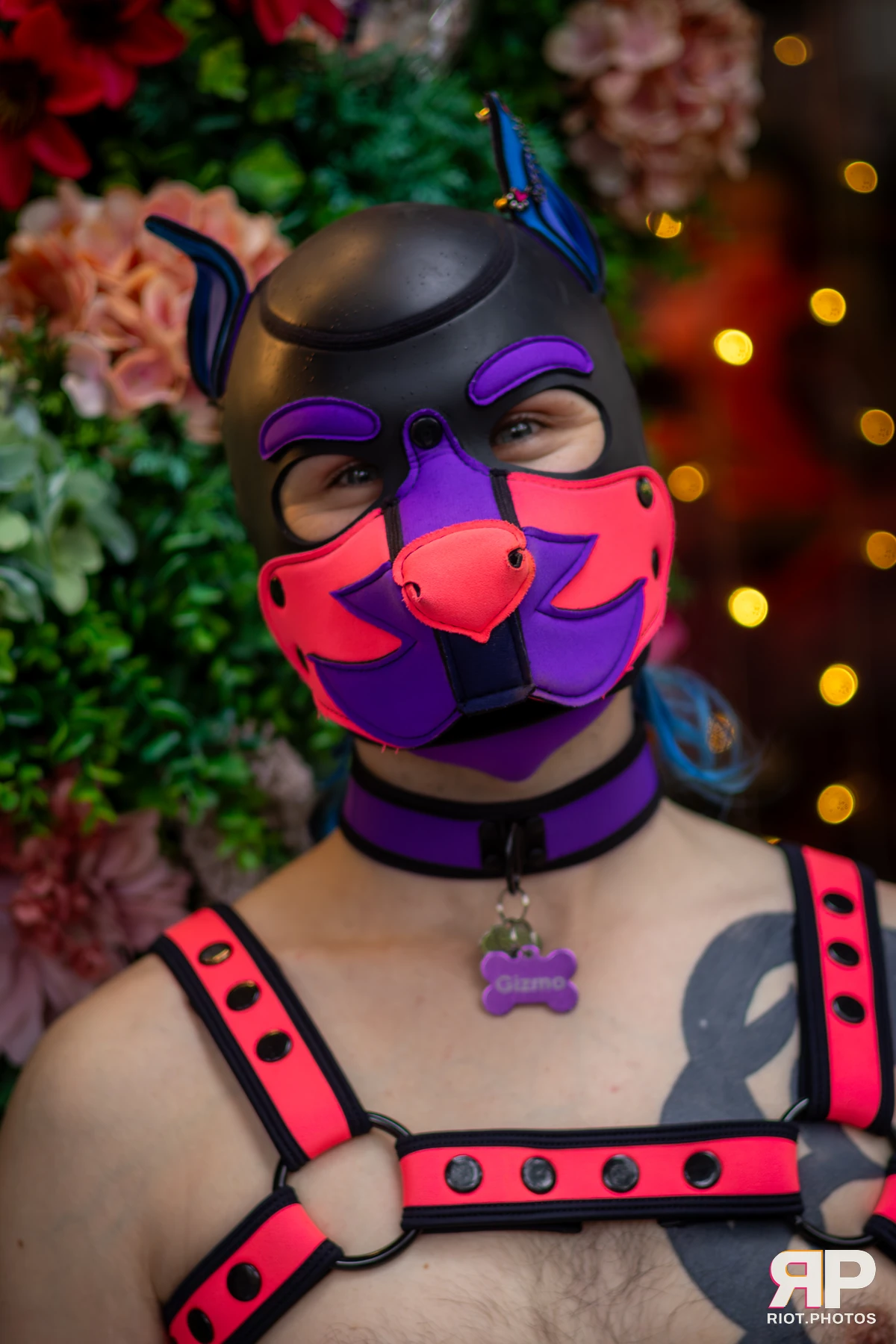 Pup Gizmo — furry & pup photography by Fluffy Riot — photo 62
