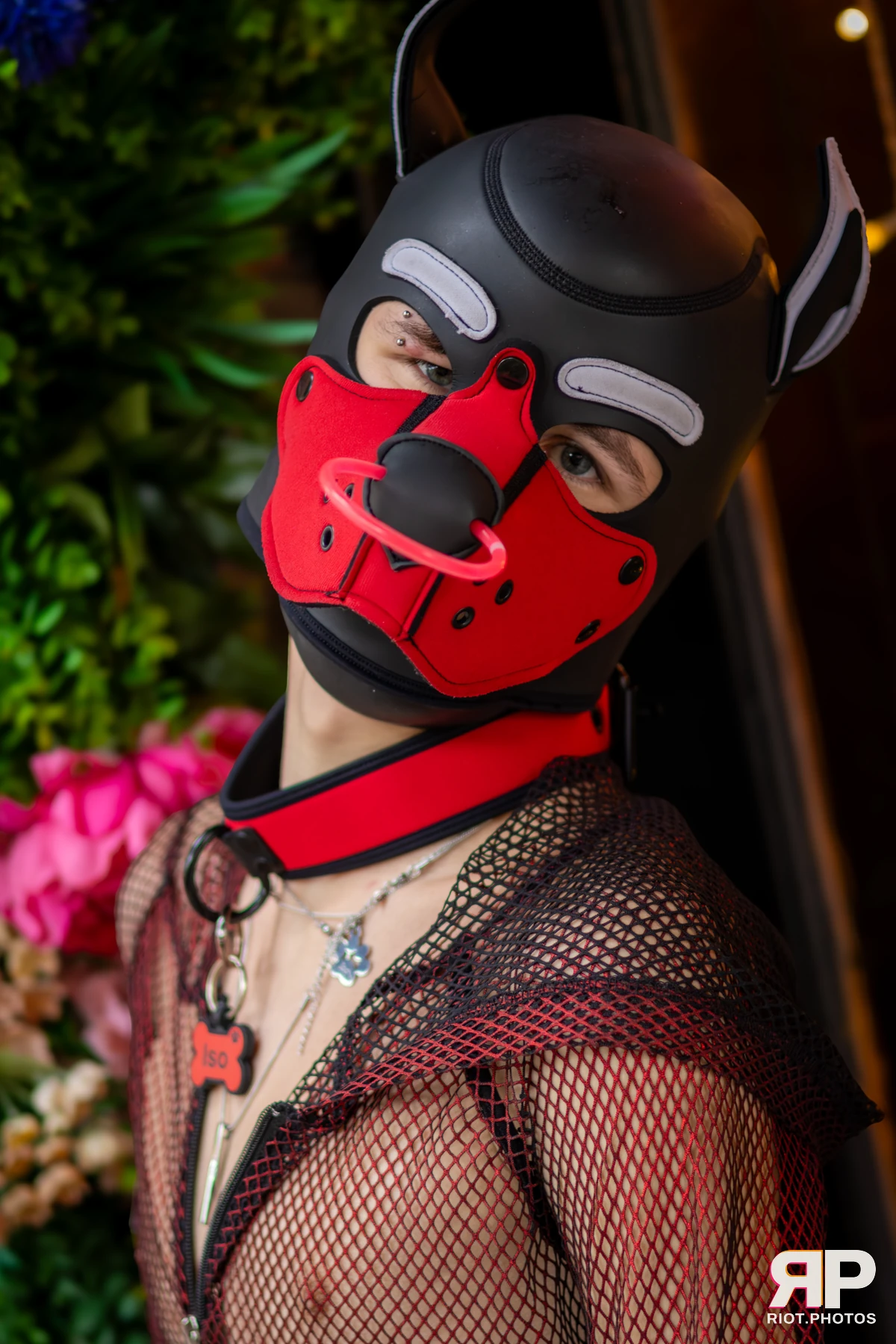 Doggy Weekend 2025 — 15 Oct 2025, Fluffy Riot photography — photo 167