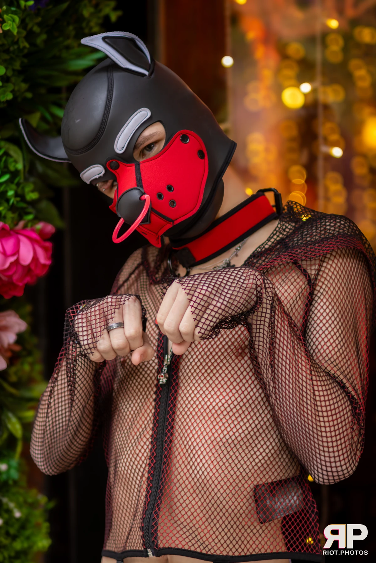 Doggy Weekend 2025 — 15 Oct 2025, Fluffy Riot photography — photo 170