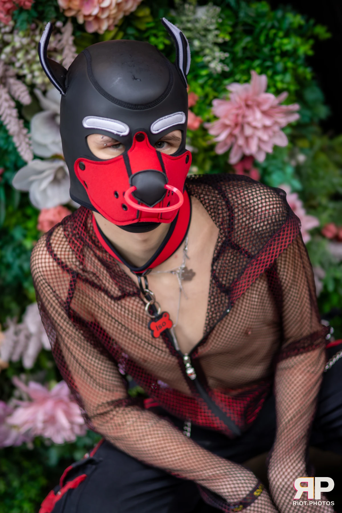 Doggy Weekend 2025 — 15 Oct 2025, Fluffy Riot photography — photo 171