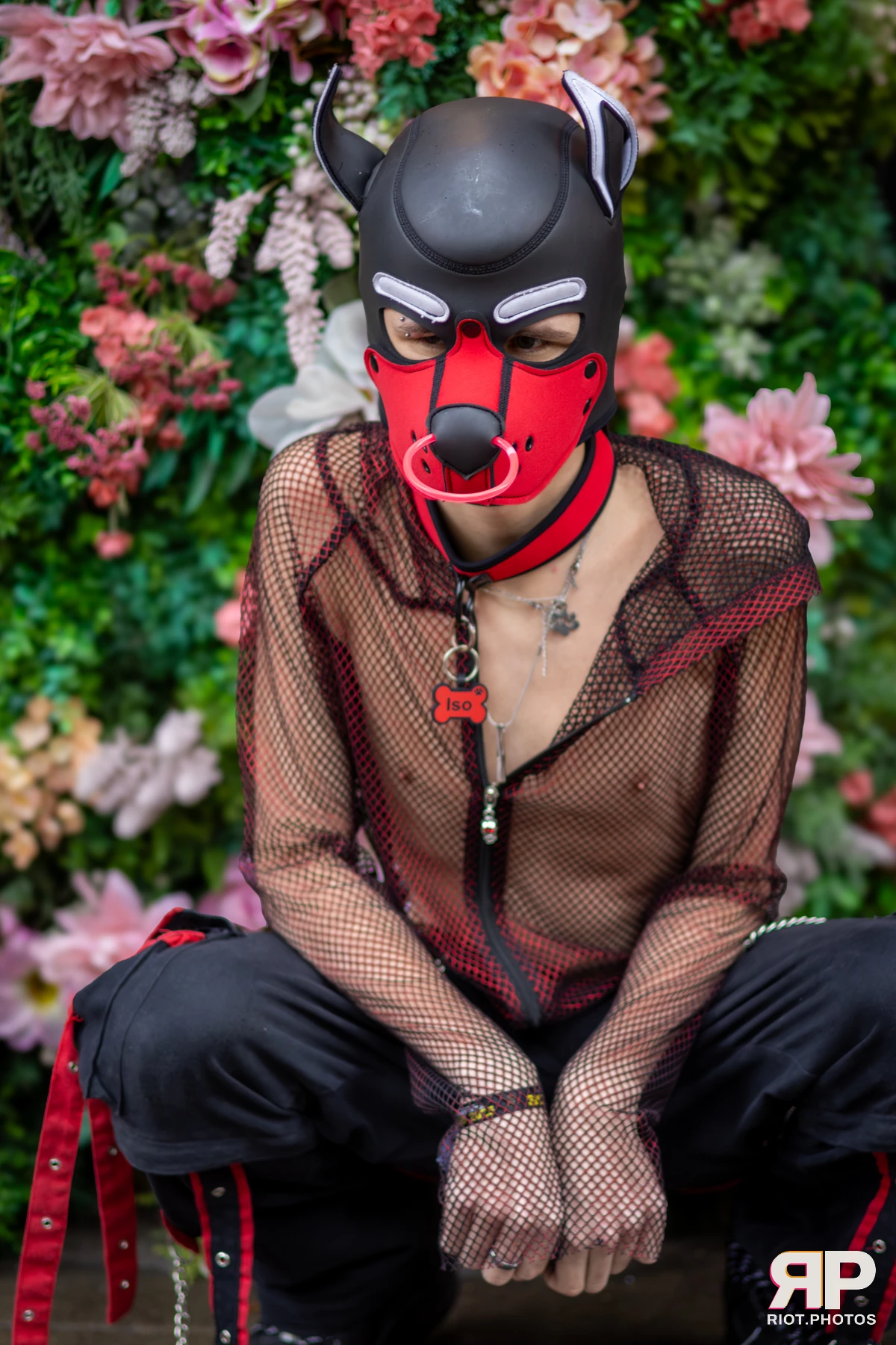 Doggy Weekend 2025 — 15 Oct 2025, Fluffy Riot photography — photo 172