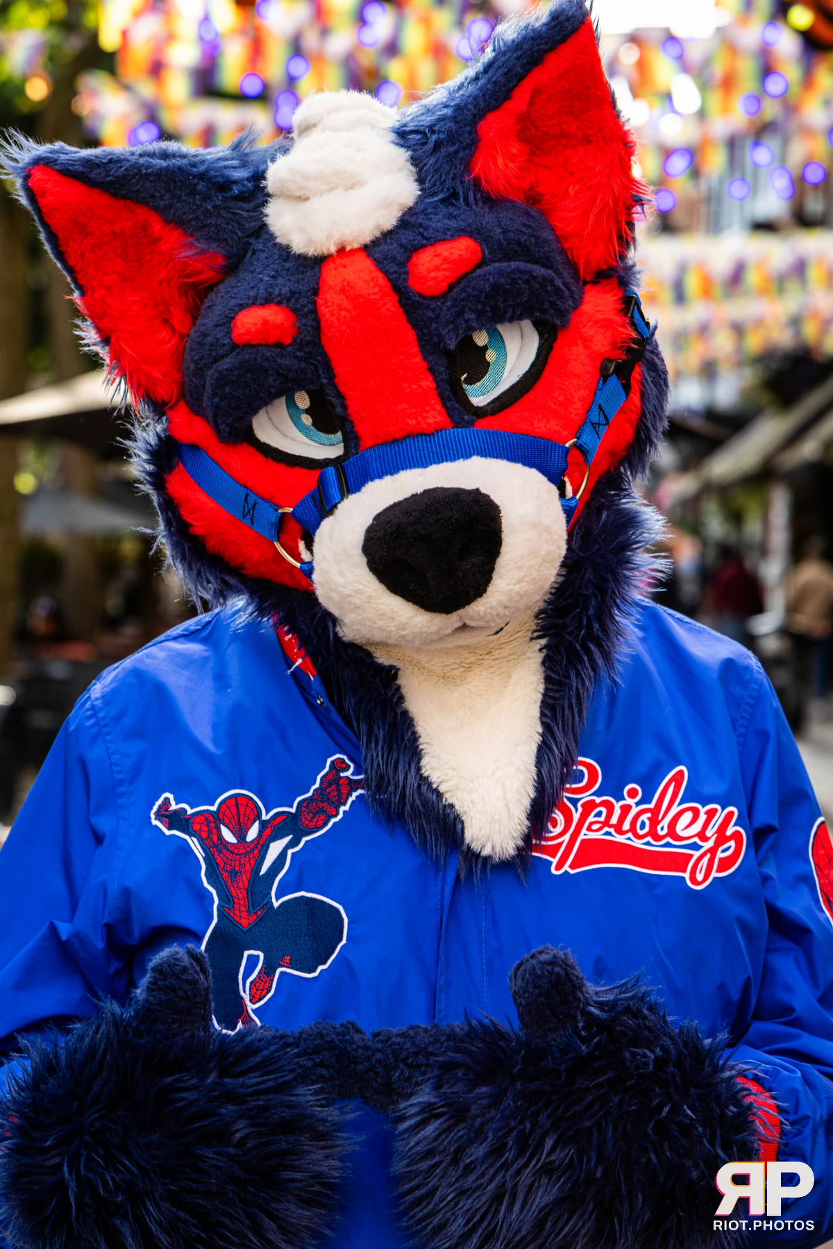 Doggy Weekend 2026 - 18 Oct 2026, Fluffy Riot photography - photo 310