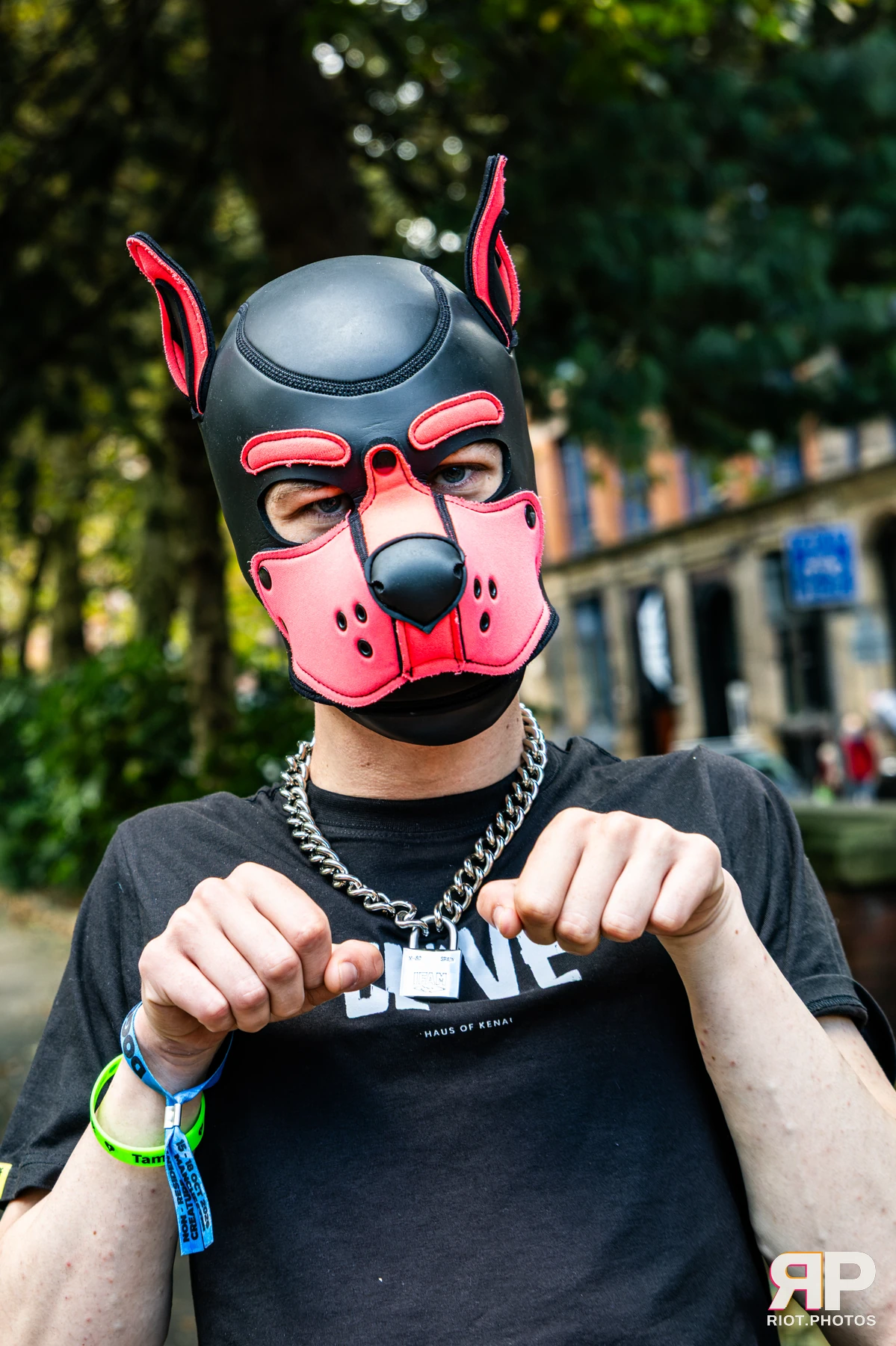 Doggy Weekend 2026 - 18 Oct 2026, Fluffy Riot photography - photo 3
