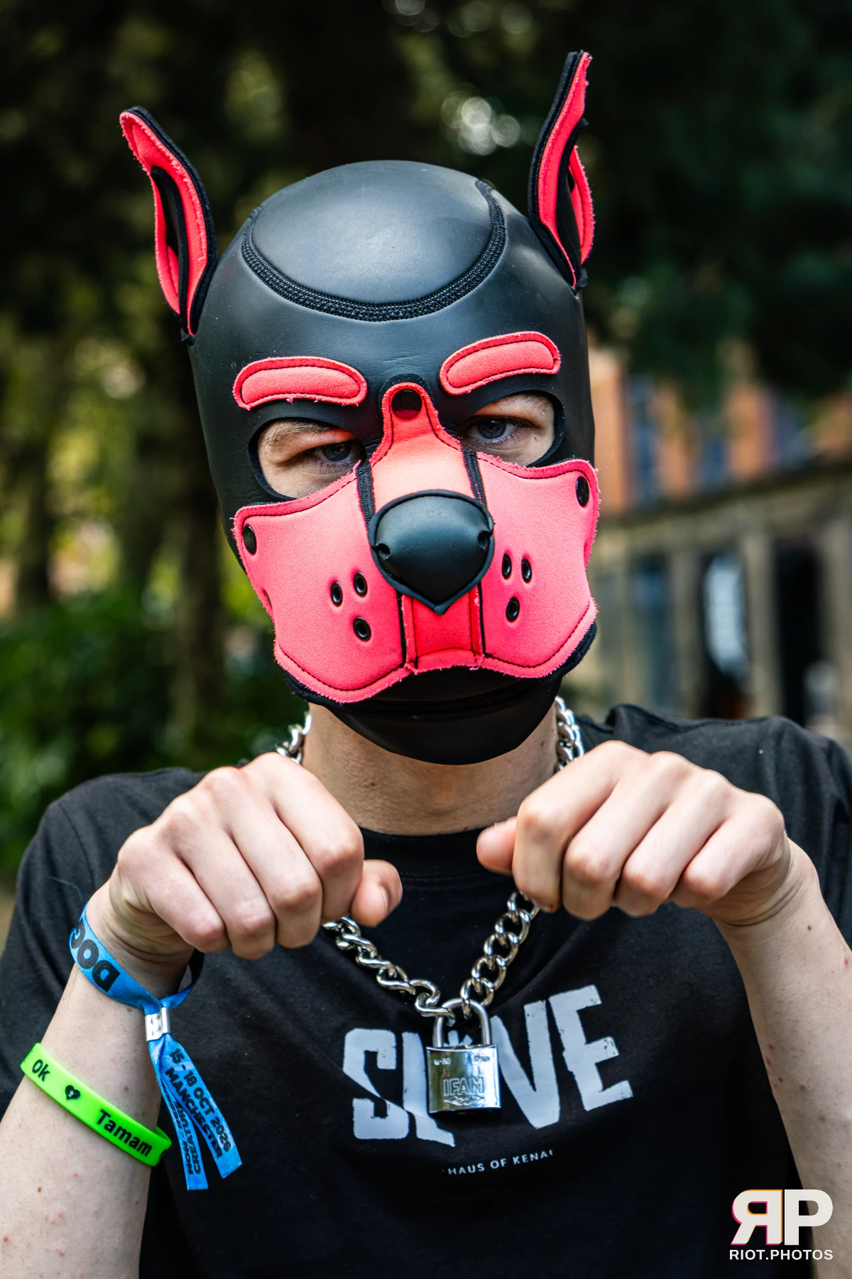 Doggy Weekend 2026 - 18 Oct 2026, Fluffy Riot photography - photo 2