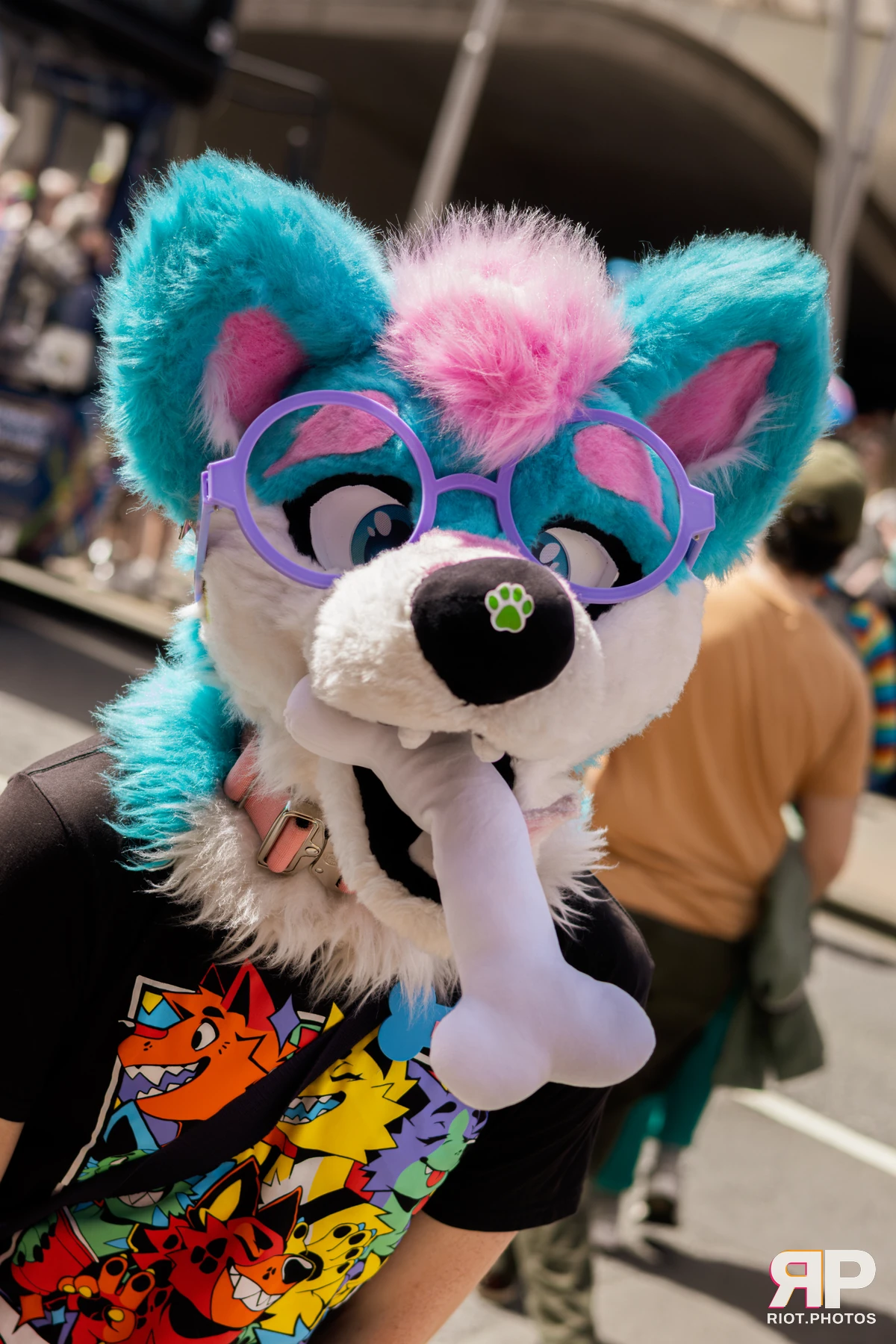 Pup Kaz — furry & pup photography by Fluffy Riot — photo 71