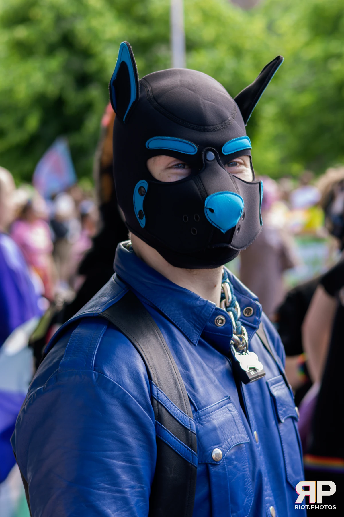 Hyper — furry & pup photography by Fluffy Riot — photo 8