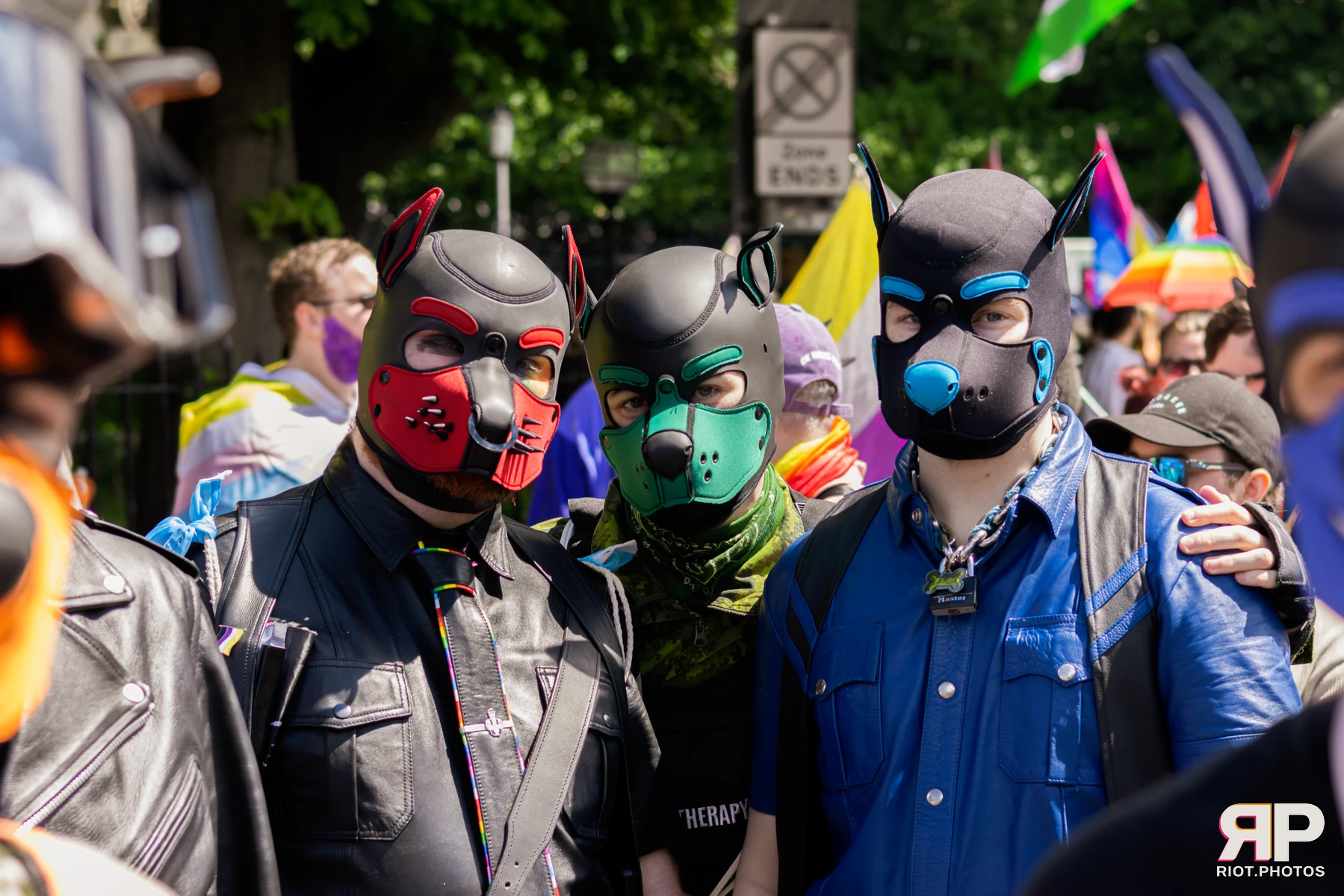 Hyper — furry & pup photography by Fluffy Riot — photo 10