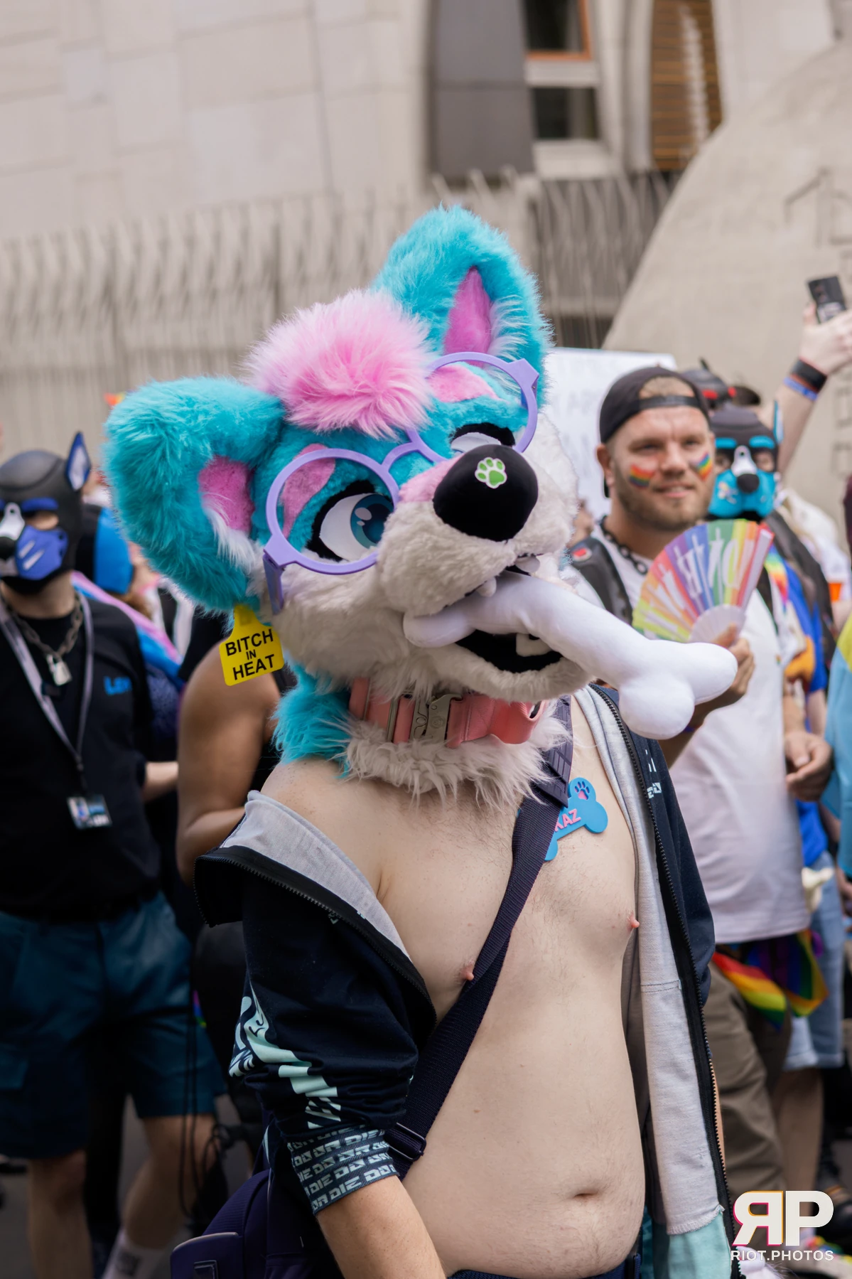 Pup Kaz — furry & pup photography by Fluffy Riot — photo 72