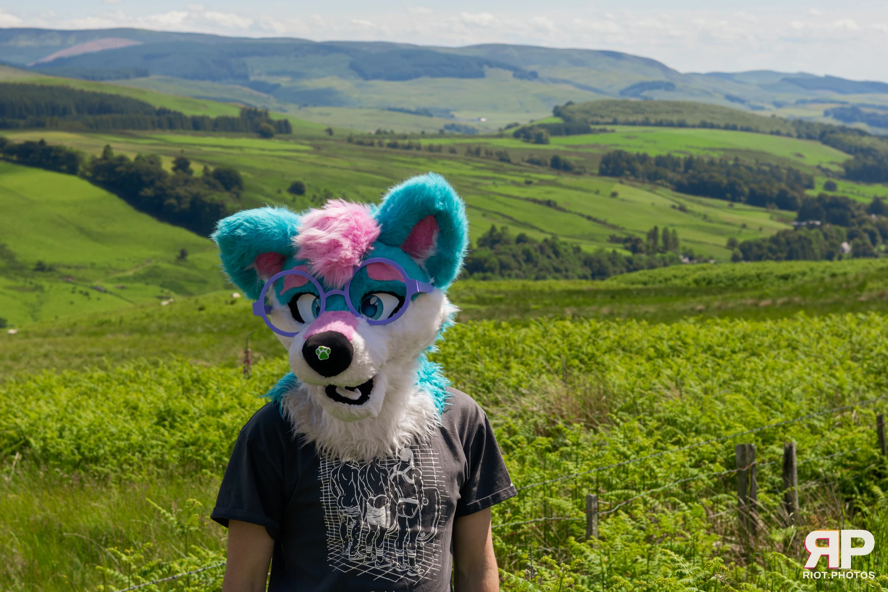 Pup Kaz — furry & pup photography by Fluffy Riot — photo 78