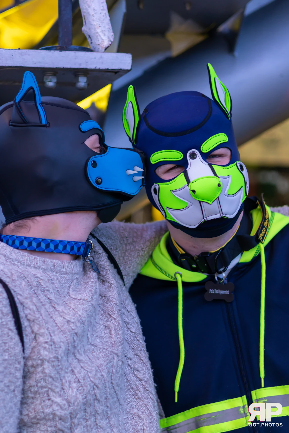 Kennel Klub - January, 2025 — 04 Jan 2025, Fluffy Riot photography — photo 1