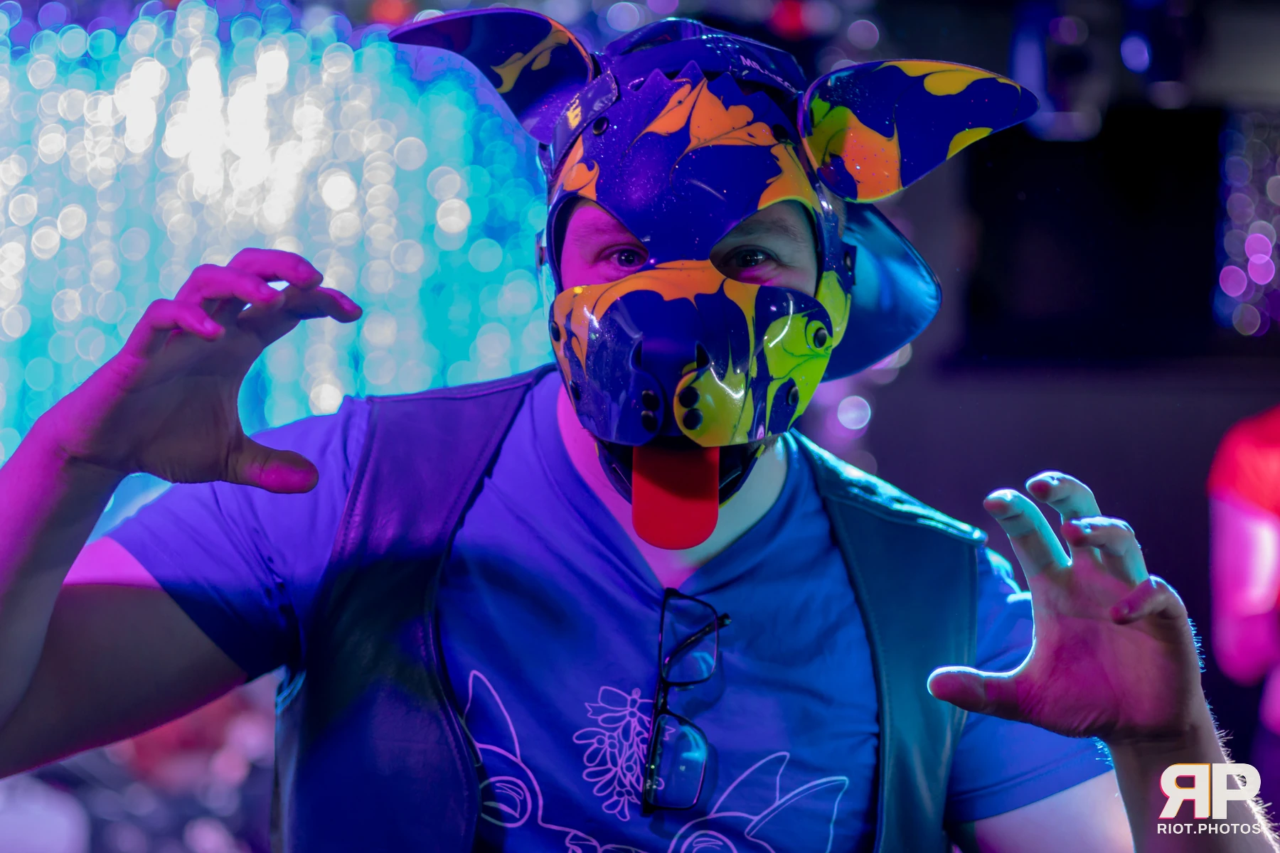 Kennel Klub - January, 2025 — 04 Jan 2025, Fluffy Riot photography — photo 2