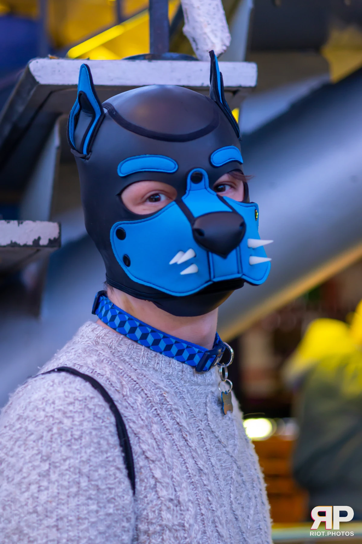 Kennel Klub - January, 2025 — 04 Jan 2025, Fluffy Riot photography — photo 11