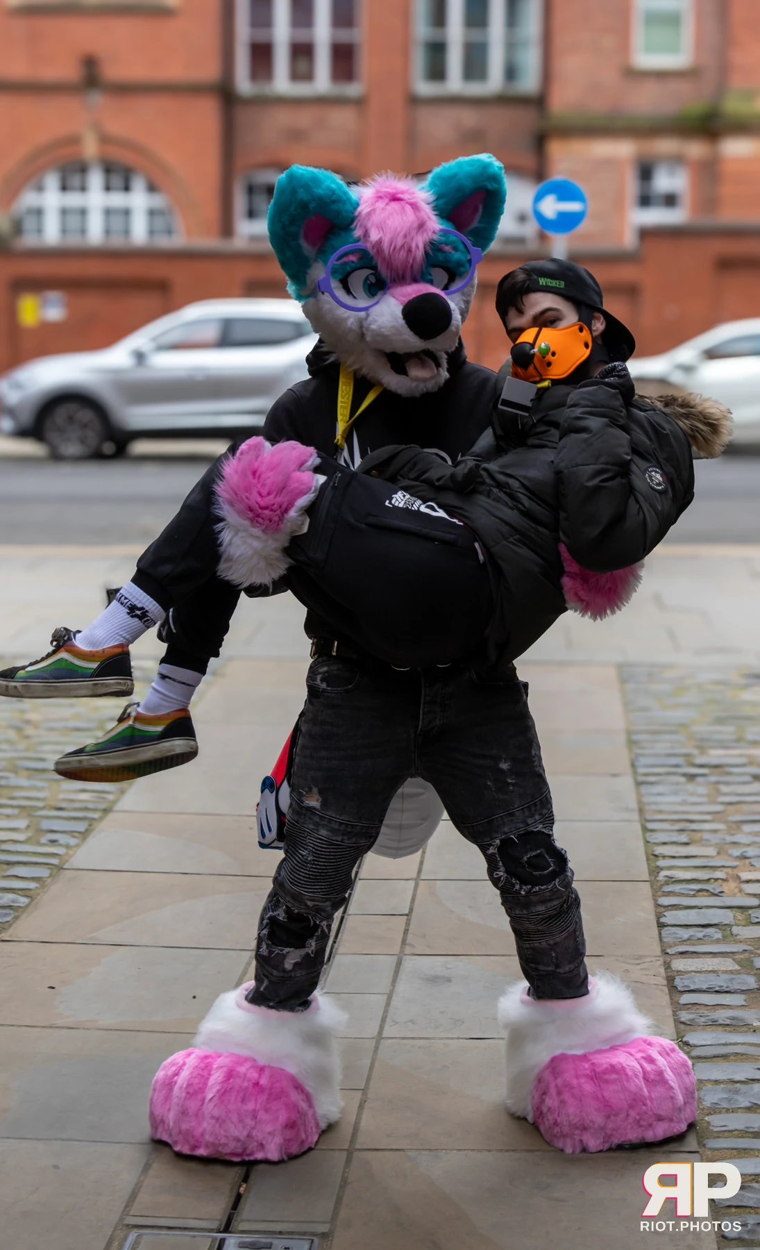 Kennel Klub - February, 2025 — 01 Feb 2025, Fluffy Riot photography — photo 7