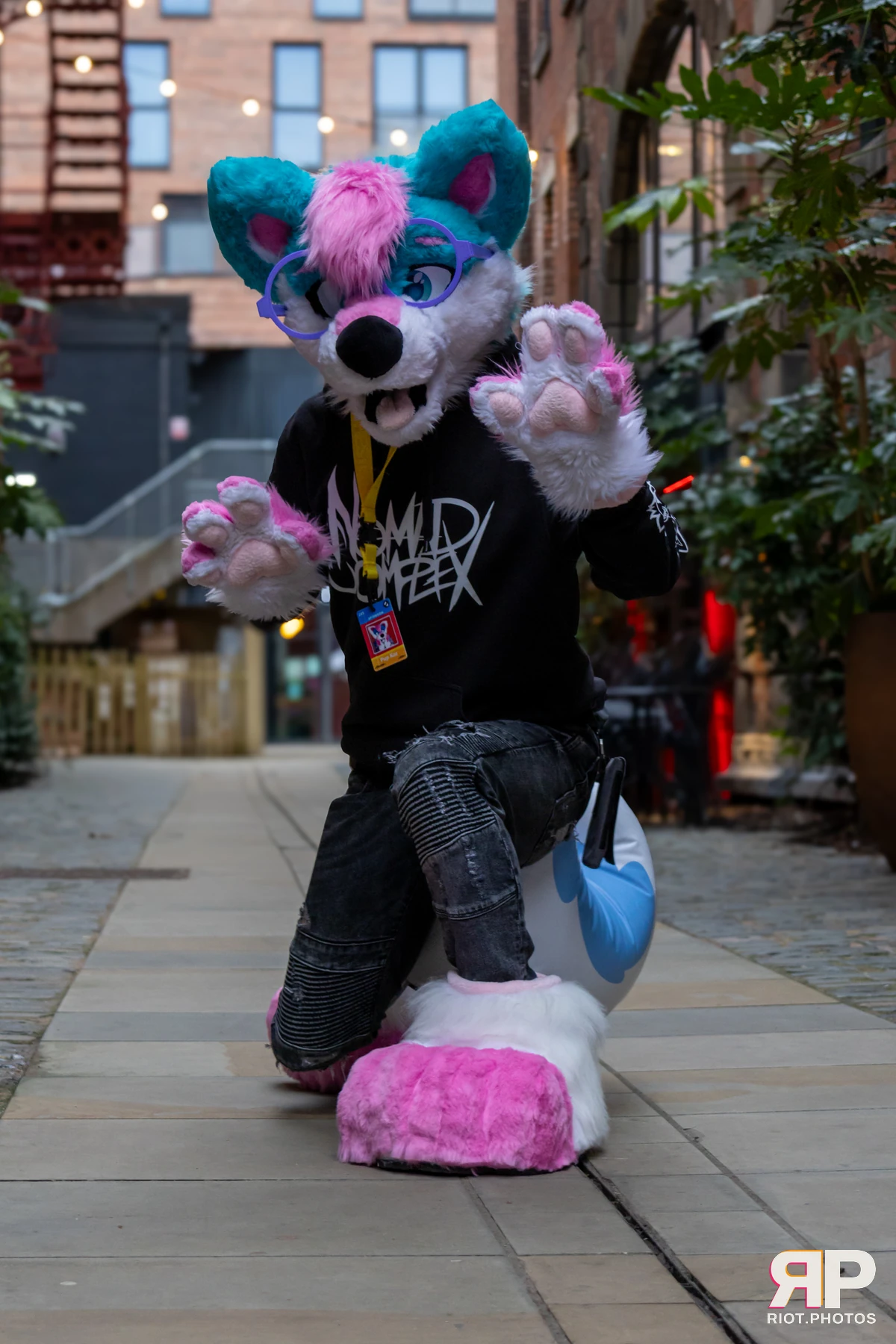 Kennel Klub - February, 2025 — 01 Feb 2025, Fluffy Riot photography — photo 13
