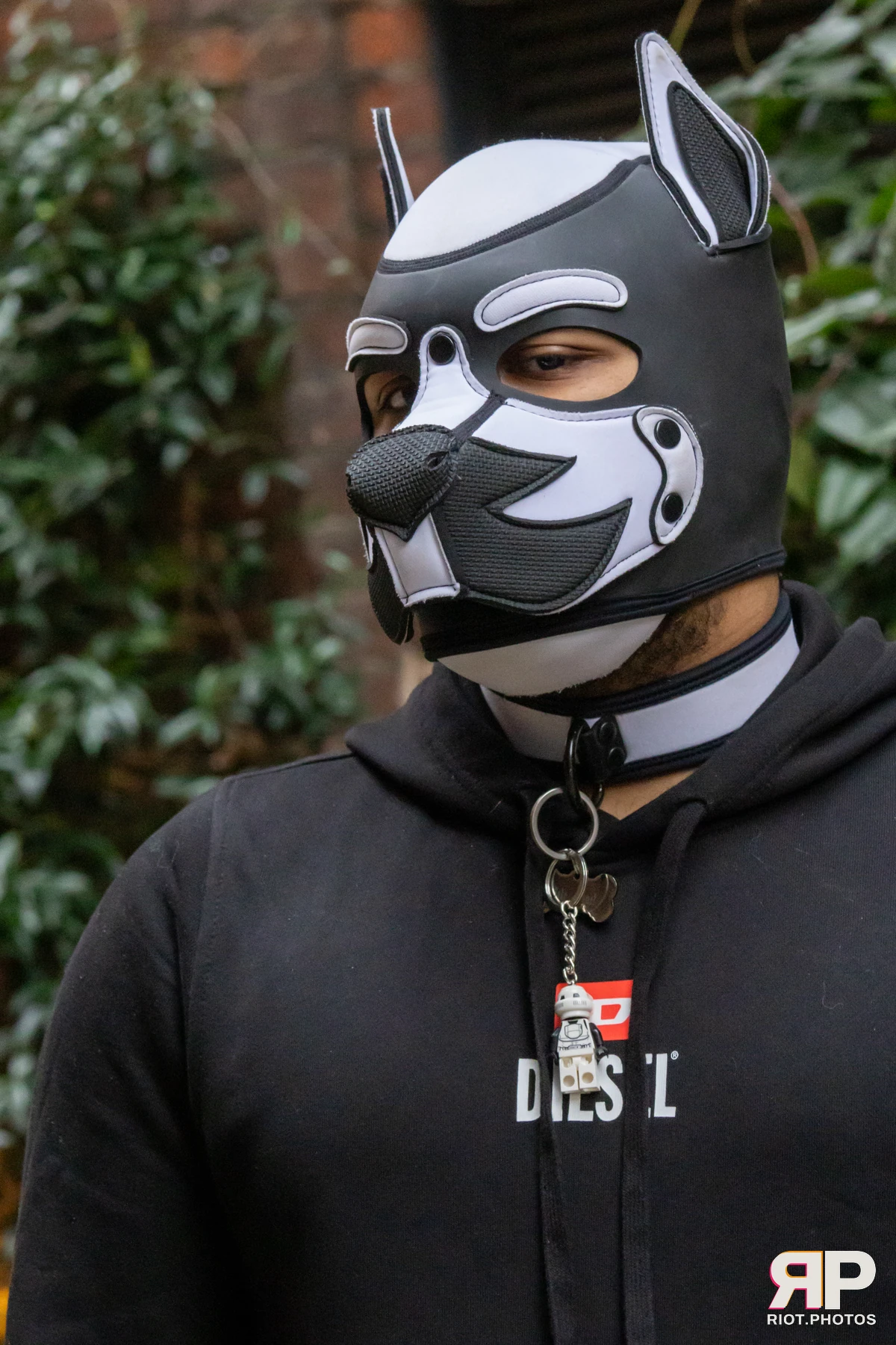 Kennel Klub - February, 2025 — 01 Feb 2025, Fluffy Riot photography — photo 19