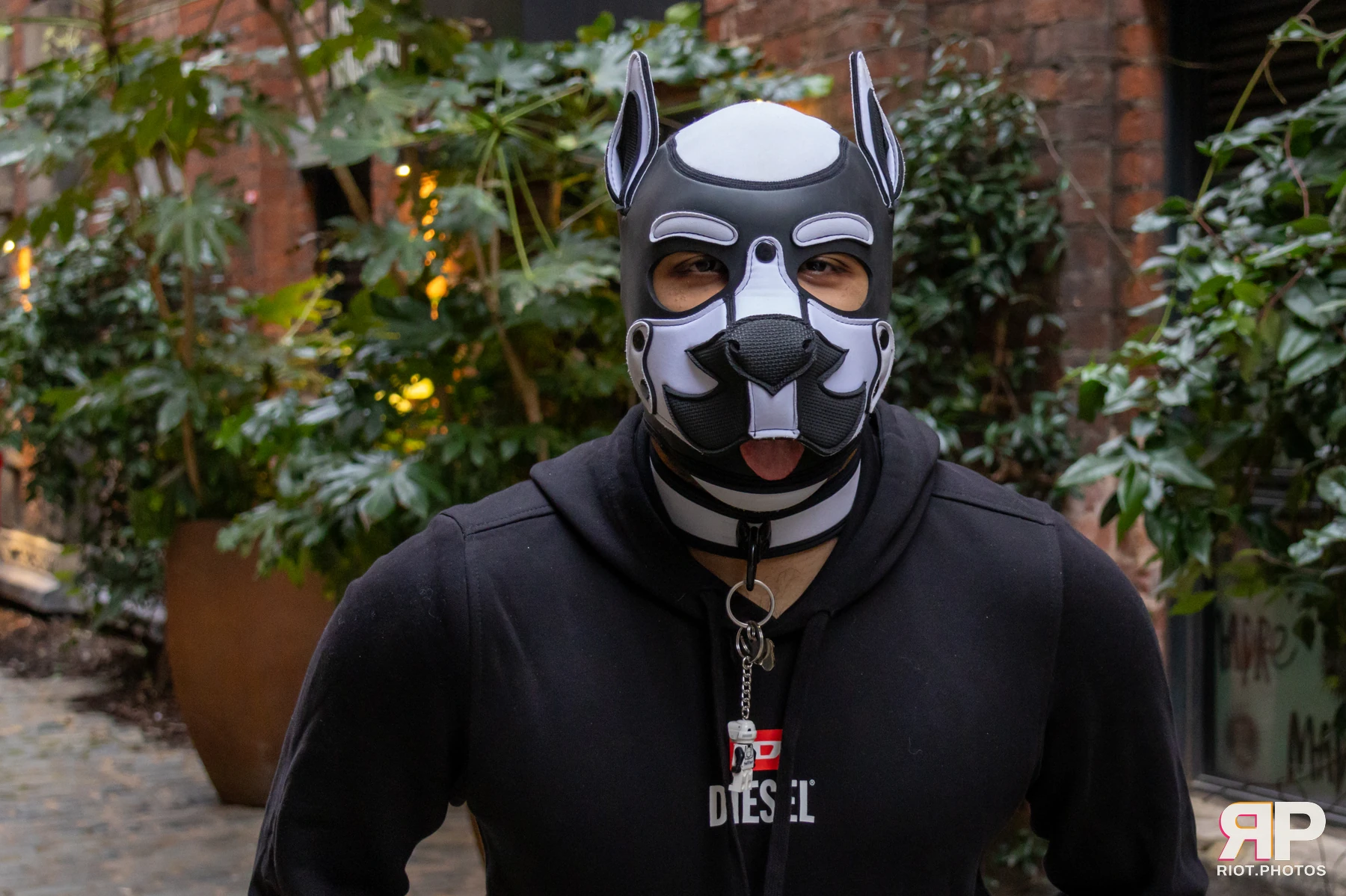 Kennel Klub - February, 2025 — 01 Feb 2025, Fluffy Riot photography — photo 20