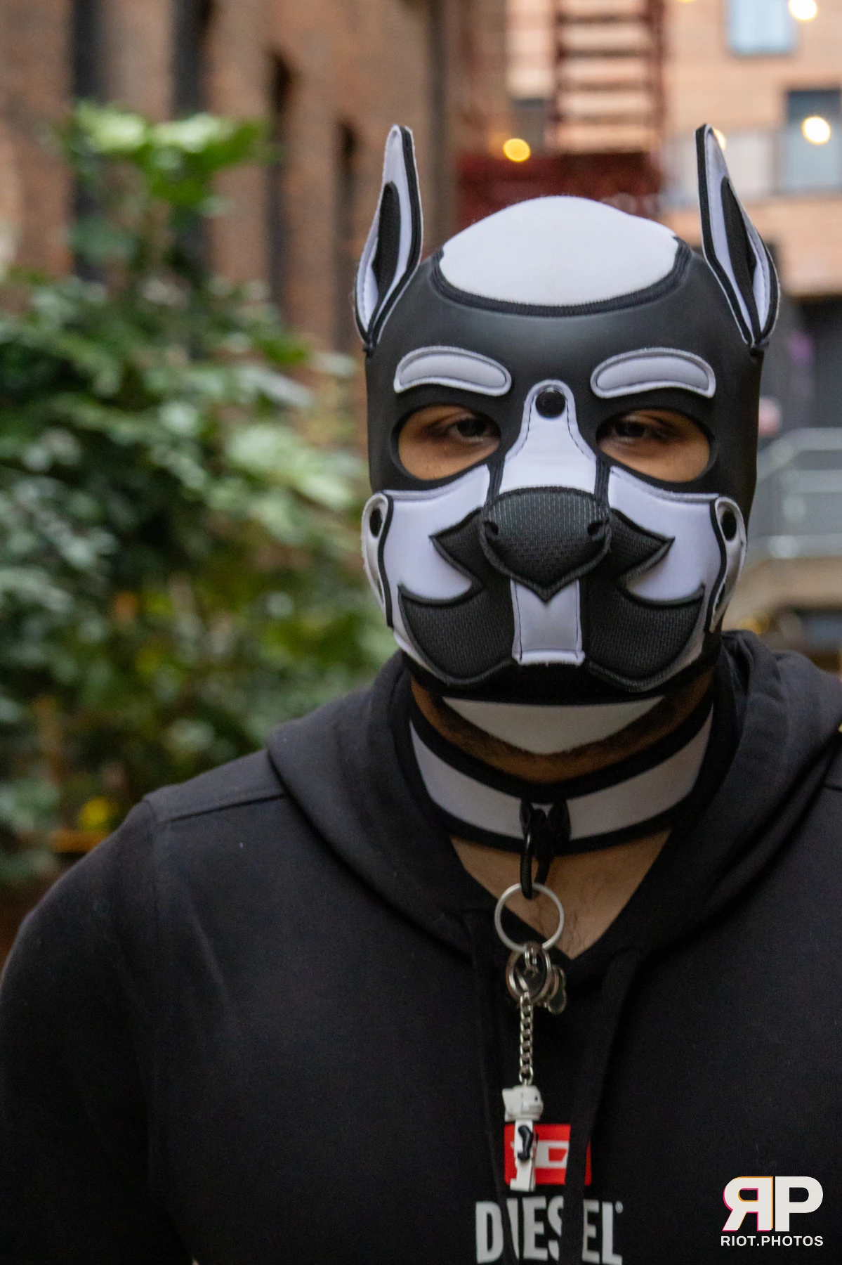 Kennel Klub - February, 2025 — 01 Feb 2025, Fluffy Riot photography — photo 21
