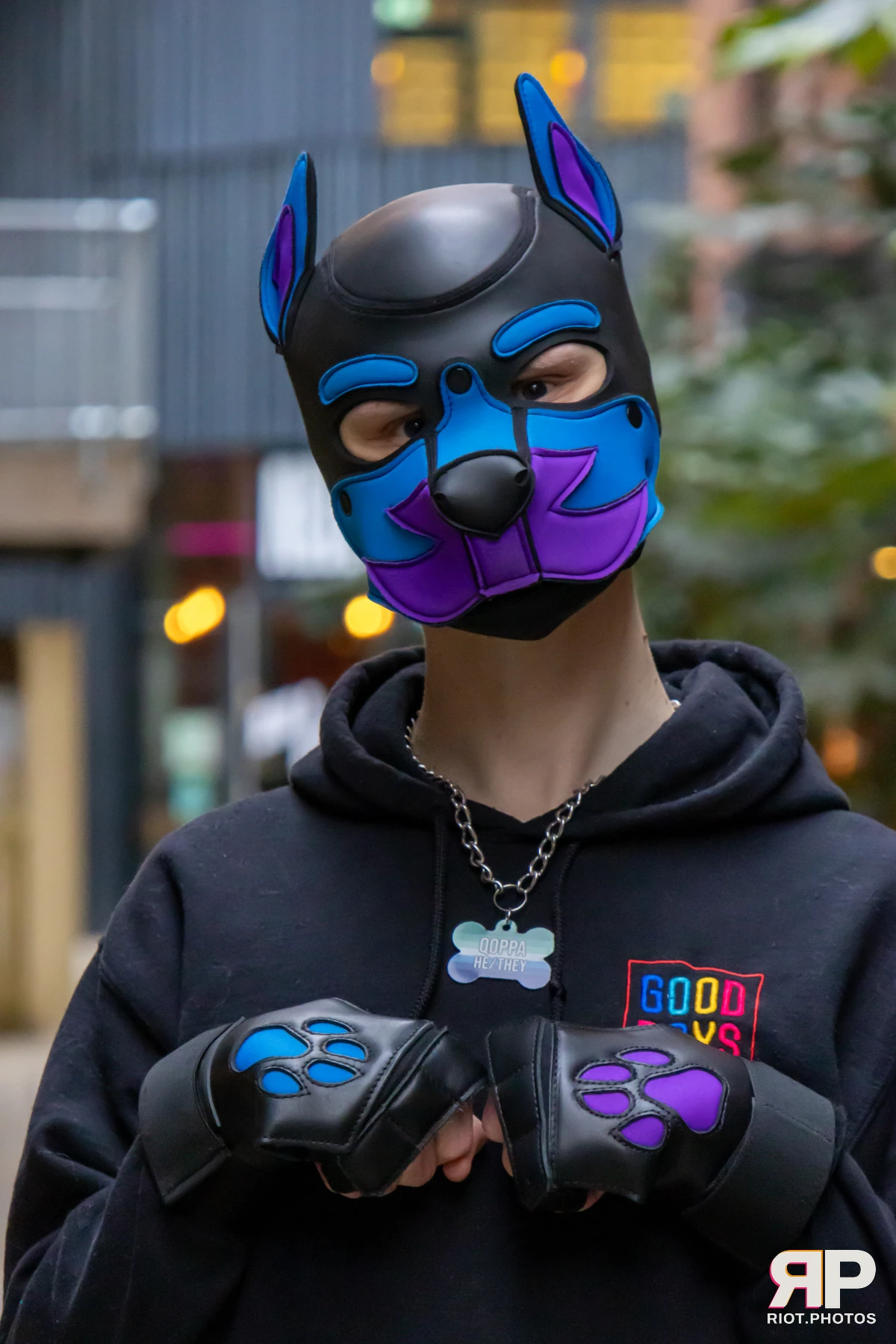 Pup Qoppa — furry & pup photography by Fluffy Riot — photo 4