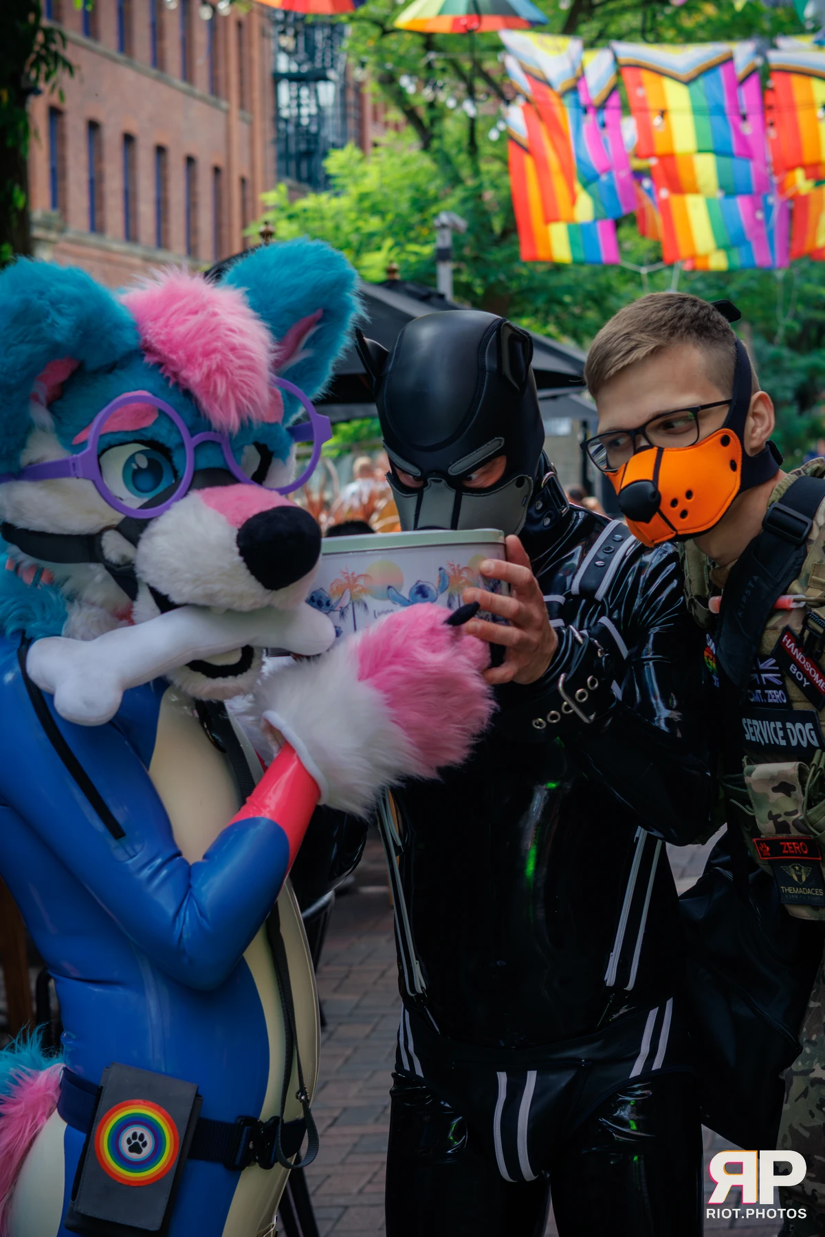 Pup Nathan — furry & pup photography by Fluffy Riot — photo 57